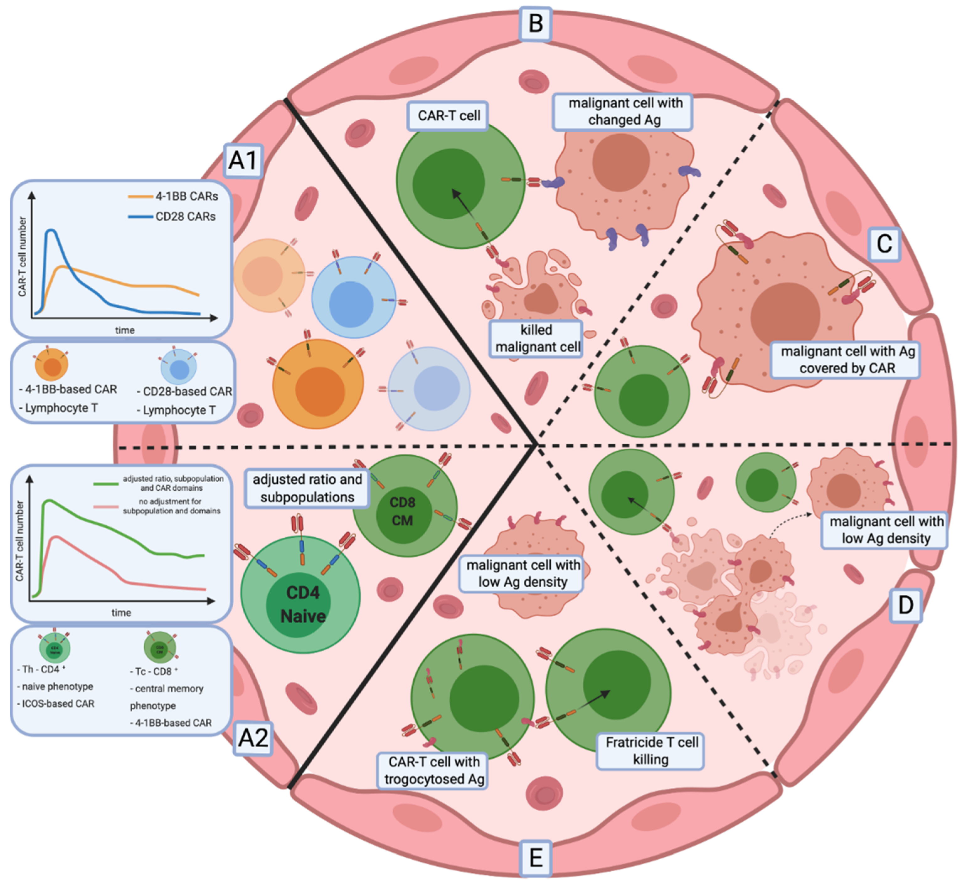 Cancers 12 02030 g002 Cancers 12 02030 g002
