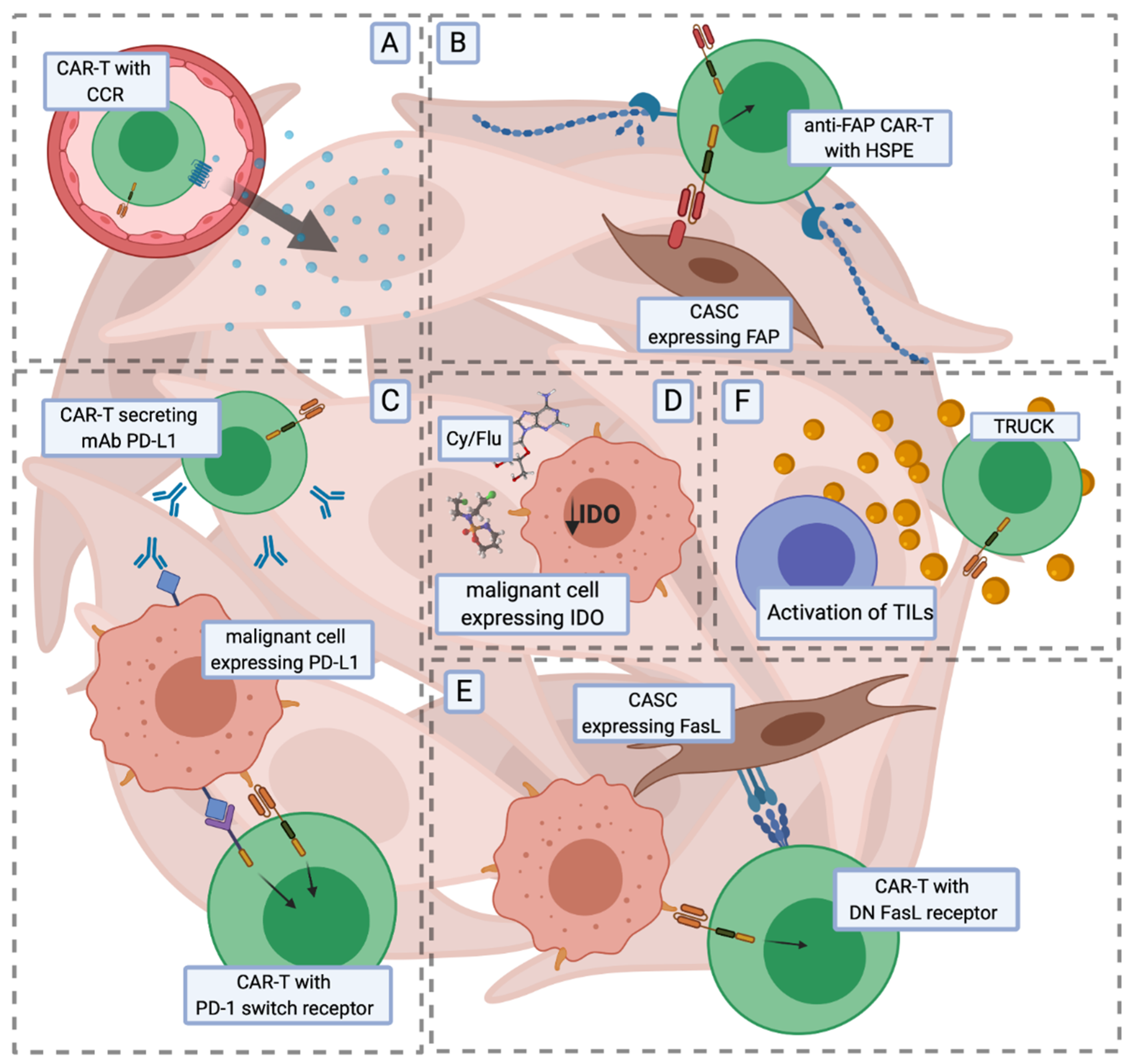 Car T Cell Diagram