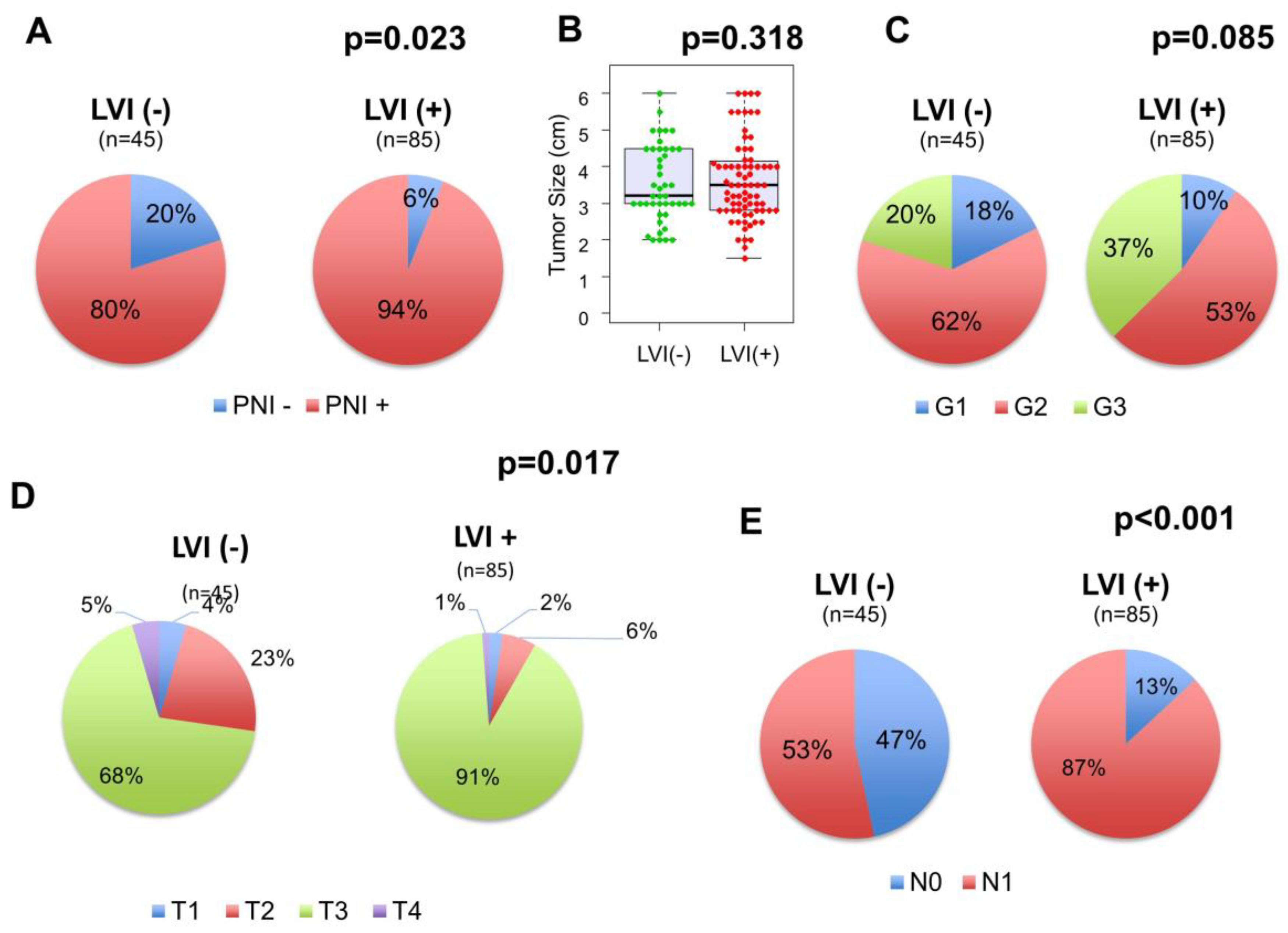 Cancers 12 02033 g001 Cancers 12 02033 g001