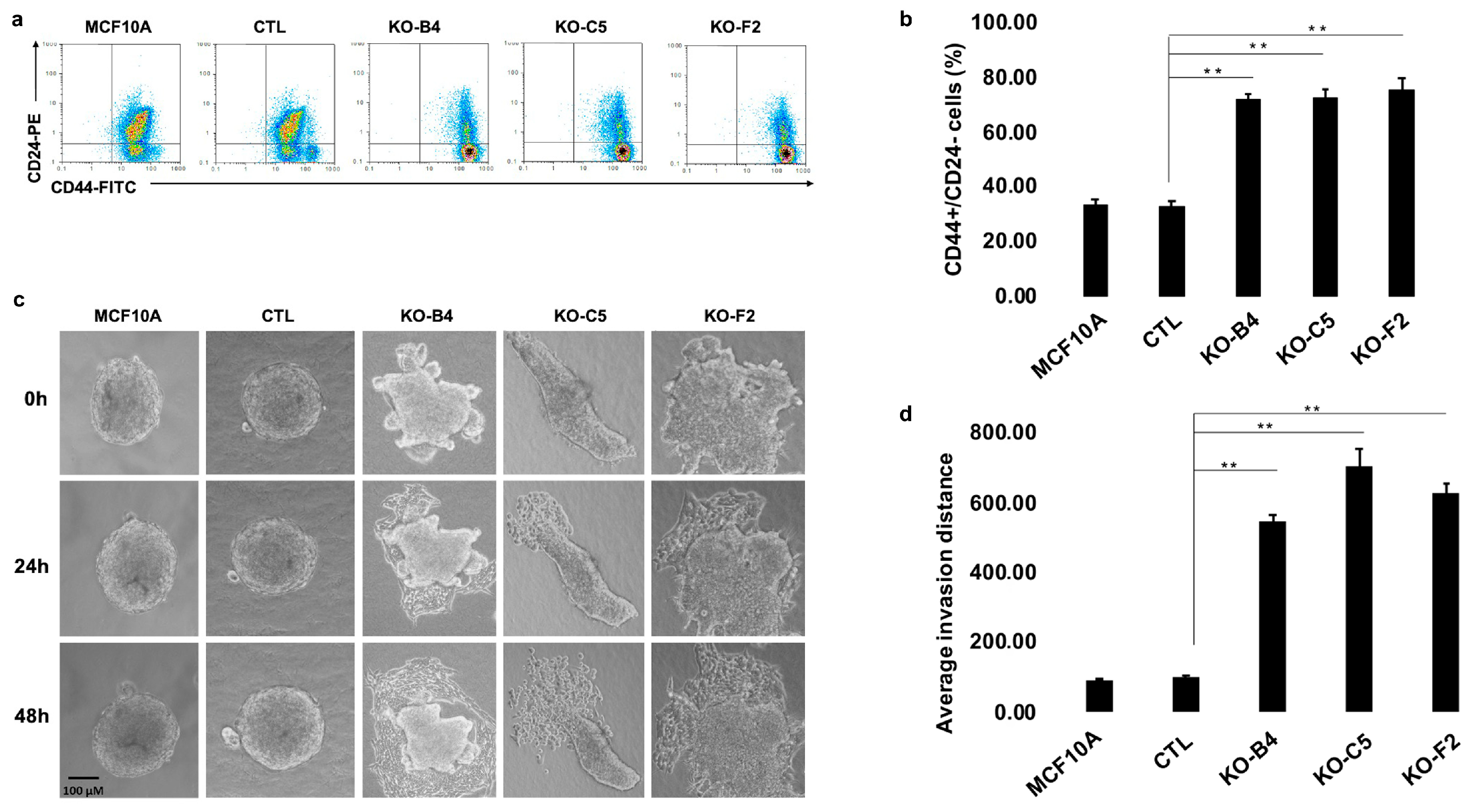Cancers 12 02047 g003 Cancers 12 02047 g003
