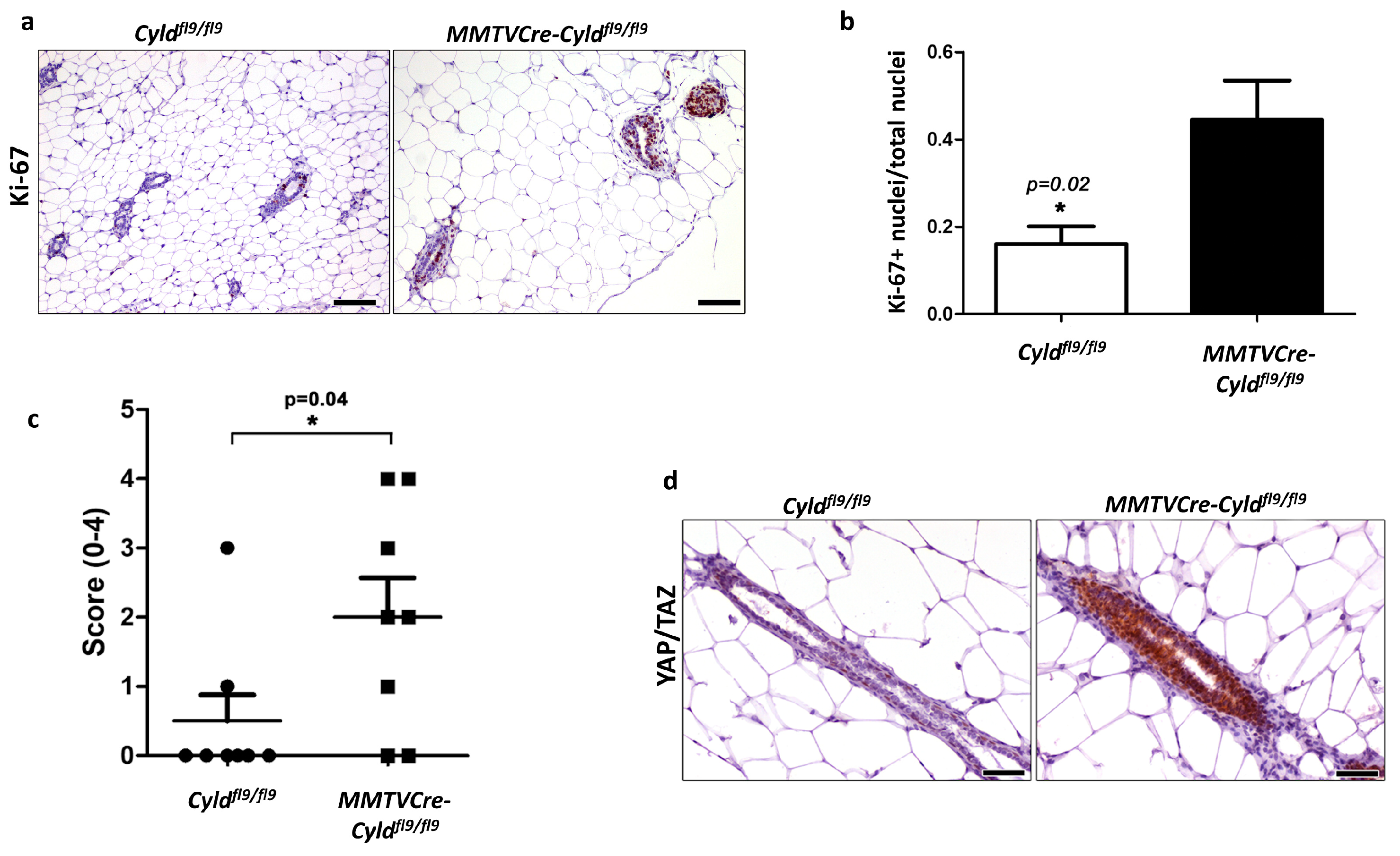 Cancers 12 02047 g006 Cancers 12 02047 g006