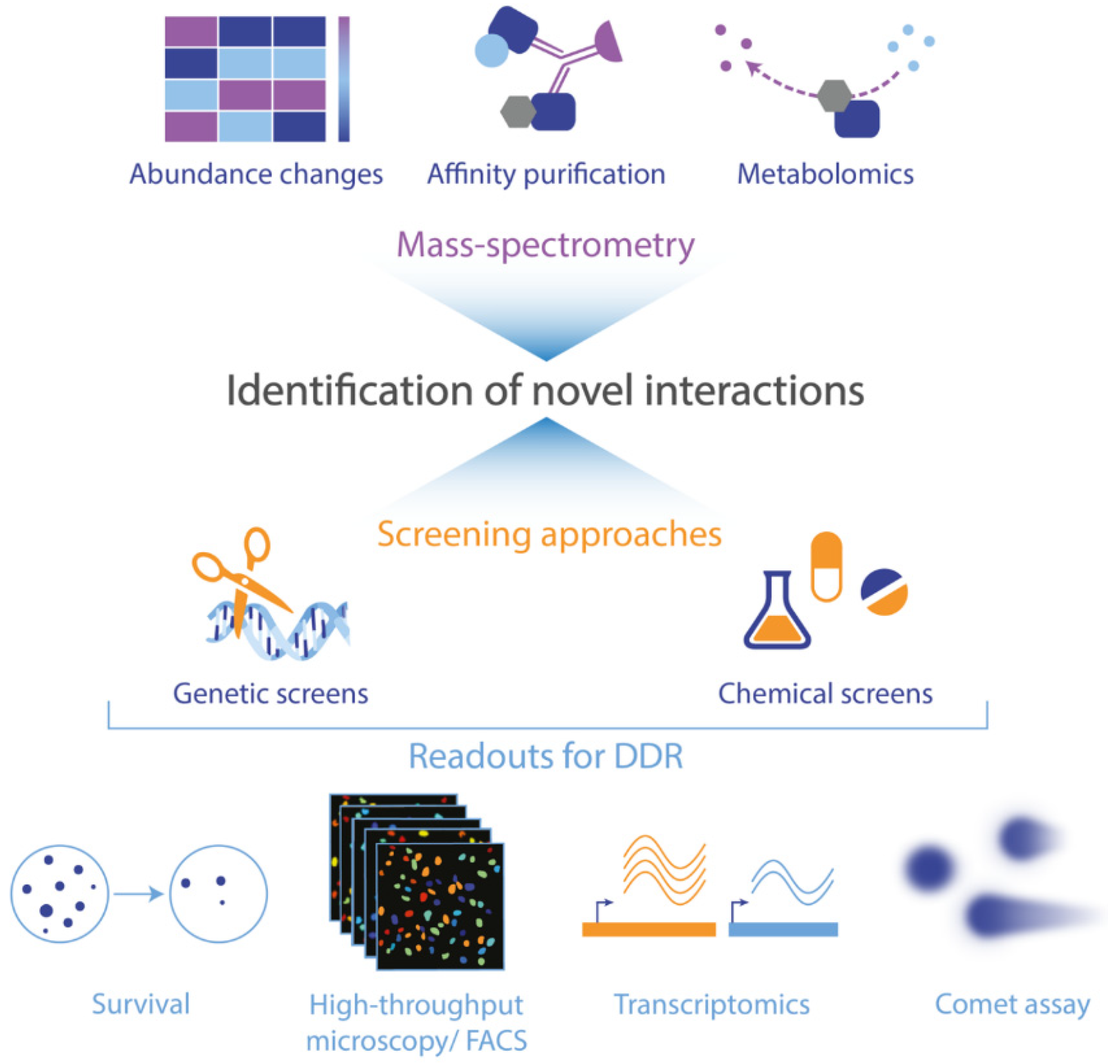 Cancers 12 02051 g003