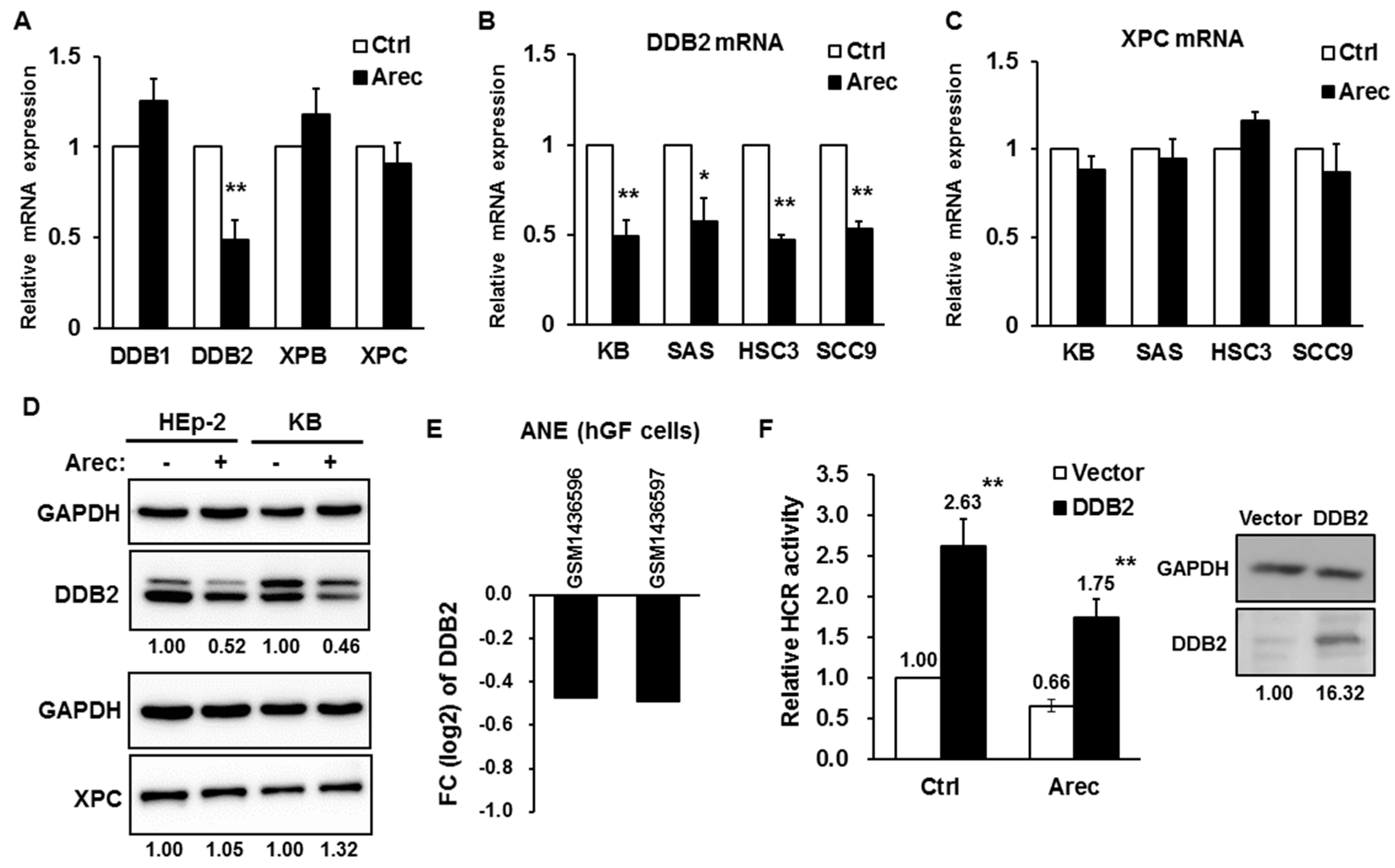 Cancers 12 02053 g001