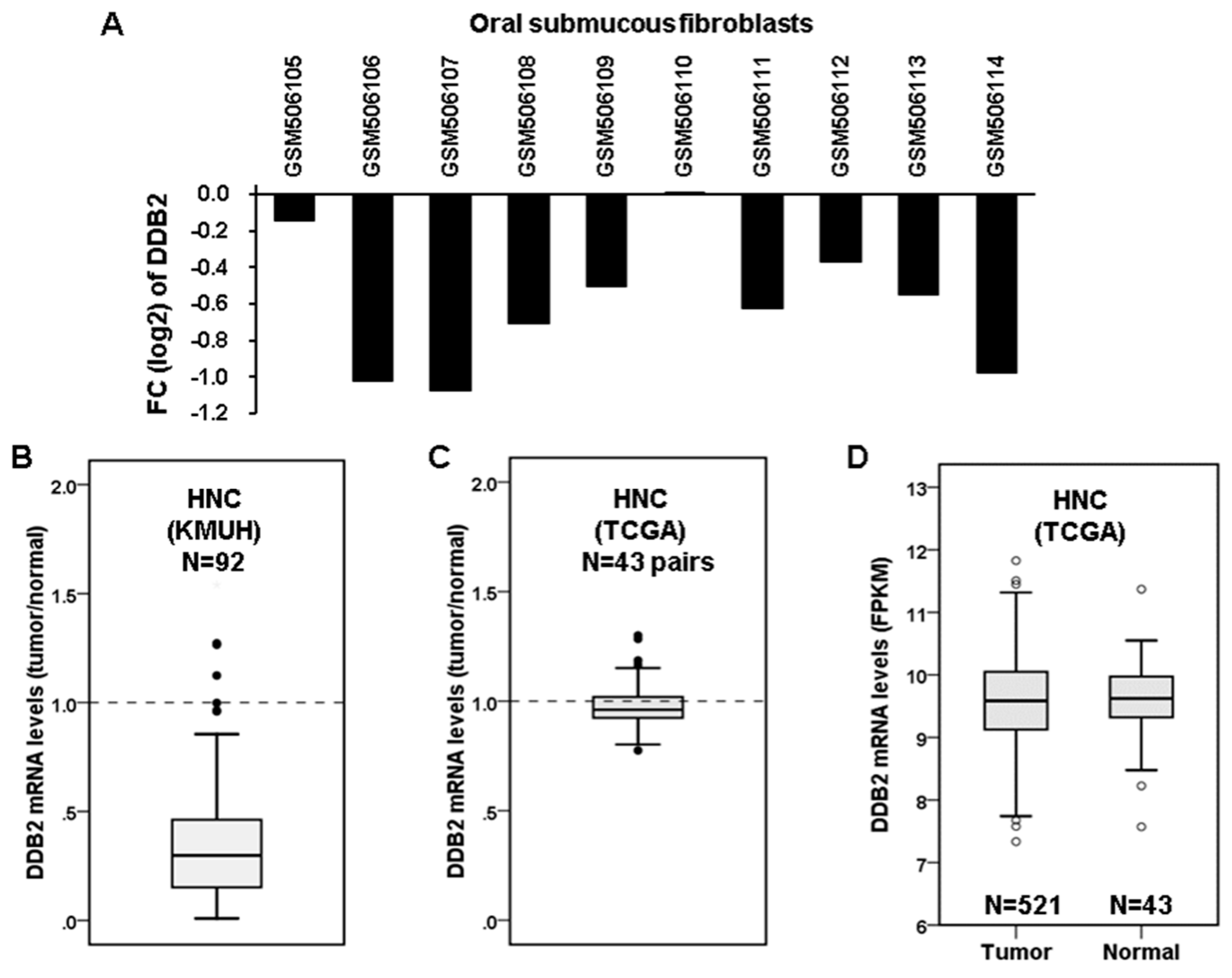 Cancers 12 02053 g006