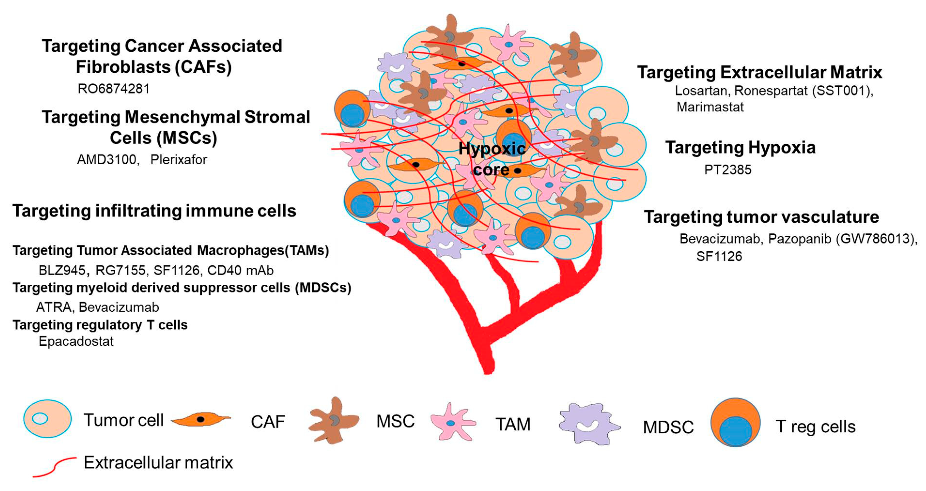 Cancers 12 02057 g001