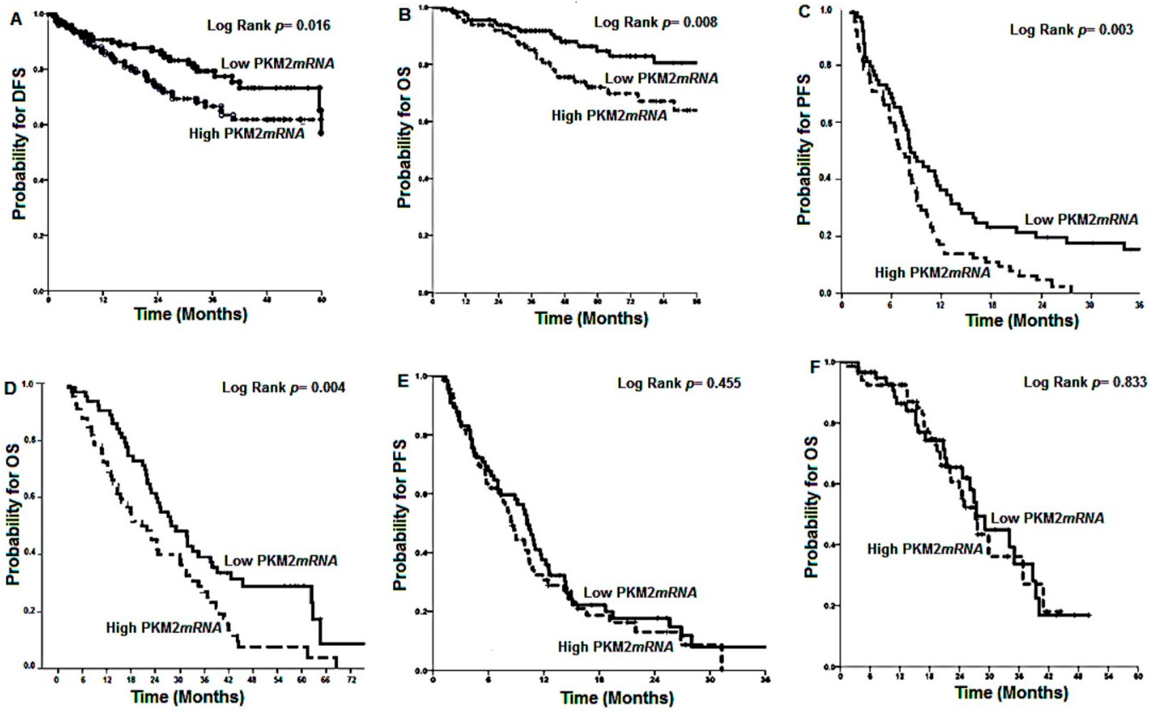 Cancers 12 02058 g001 Cancers 12 02058 g001