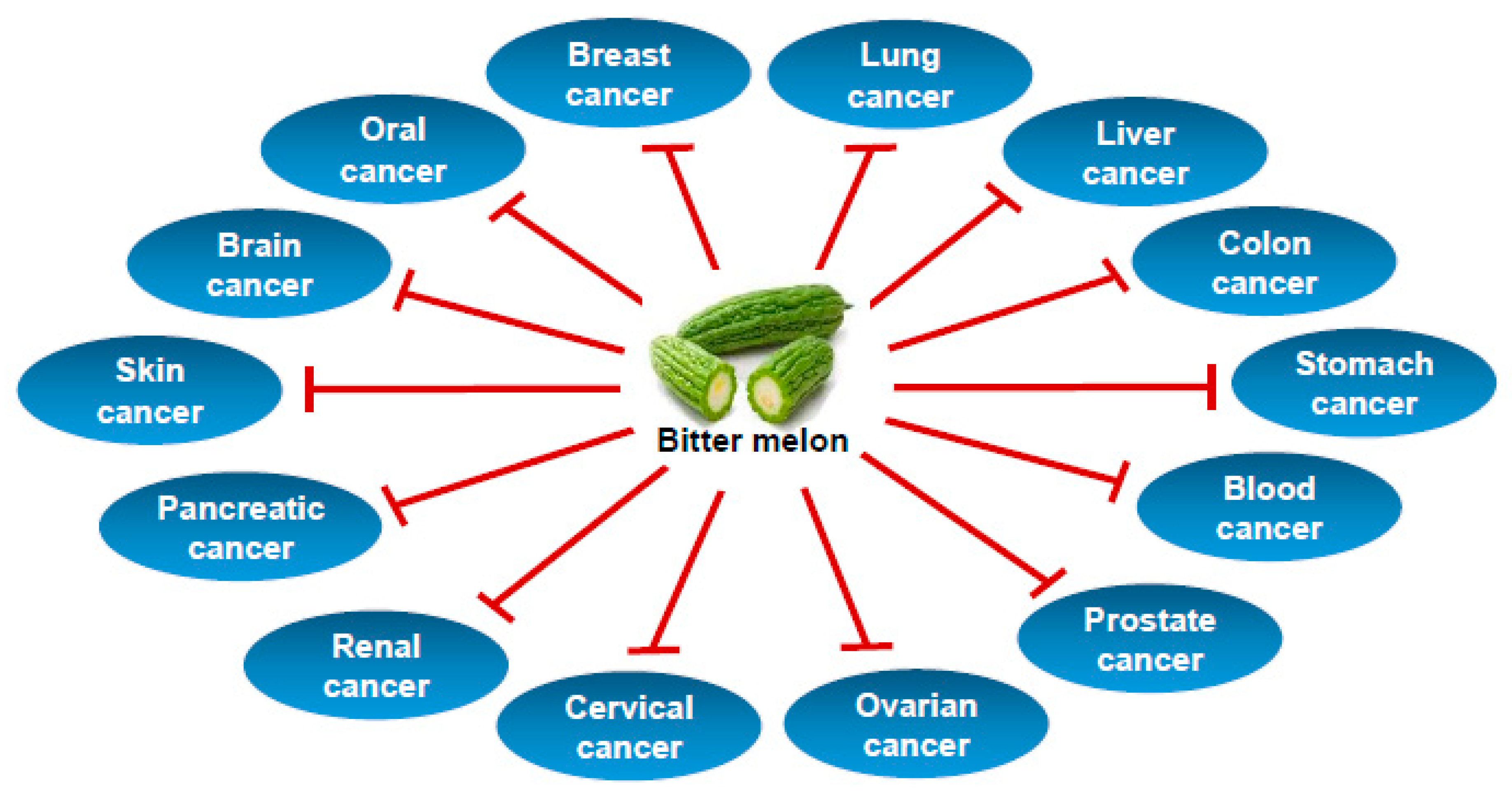Cancers Free Full Text Bitter Melon Momordica Charantia A Nutraceutical Approach For Cancer Prevention And Therapy Html