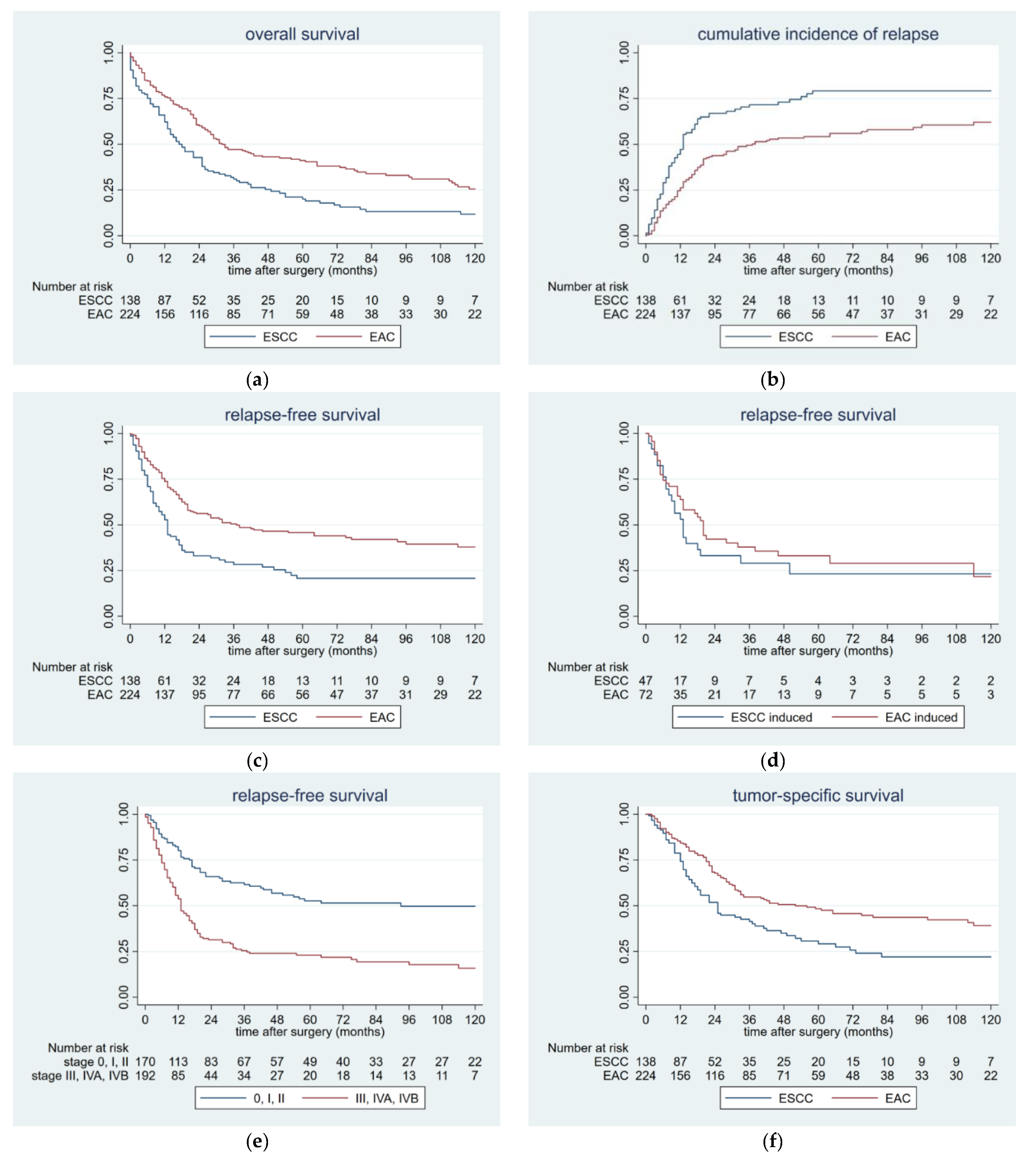 Cancers 12 02066 g001