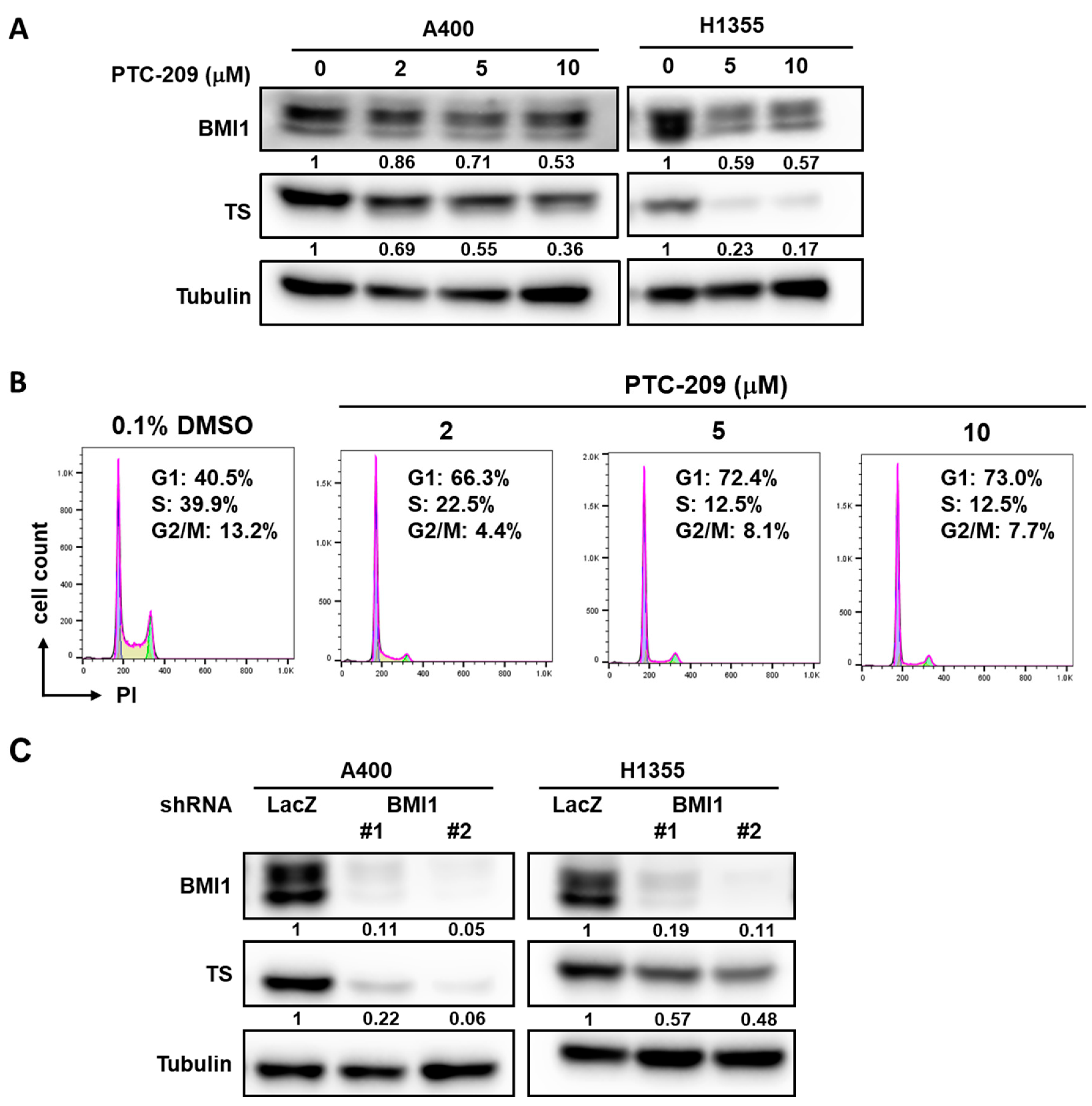 Cancers 12 02069 g004