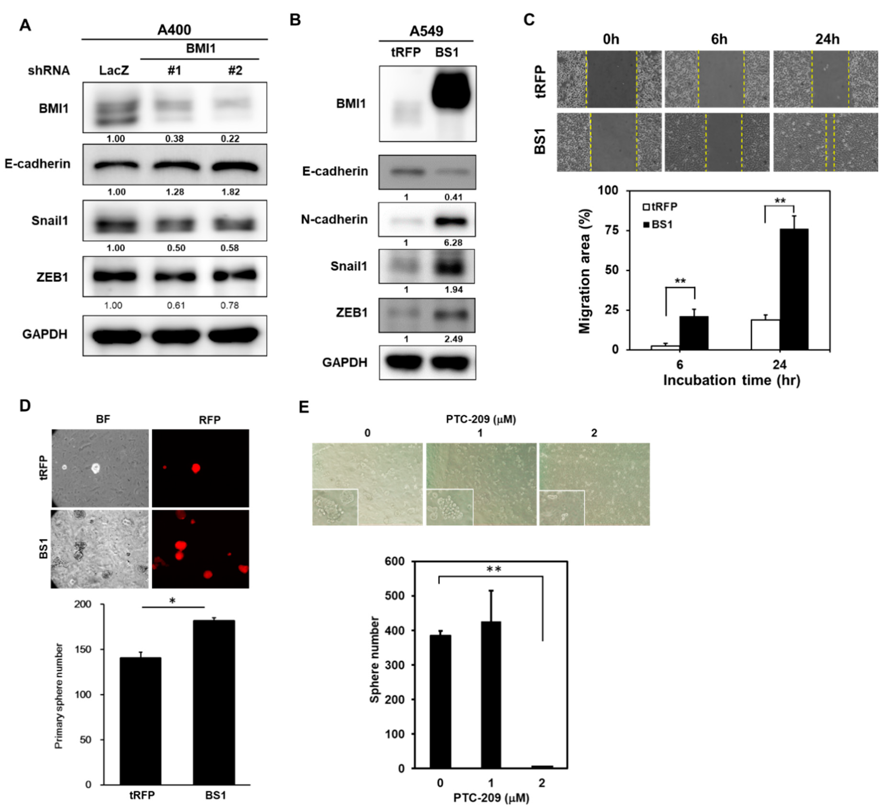 Cancers 12 02069 g006