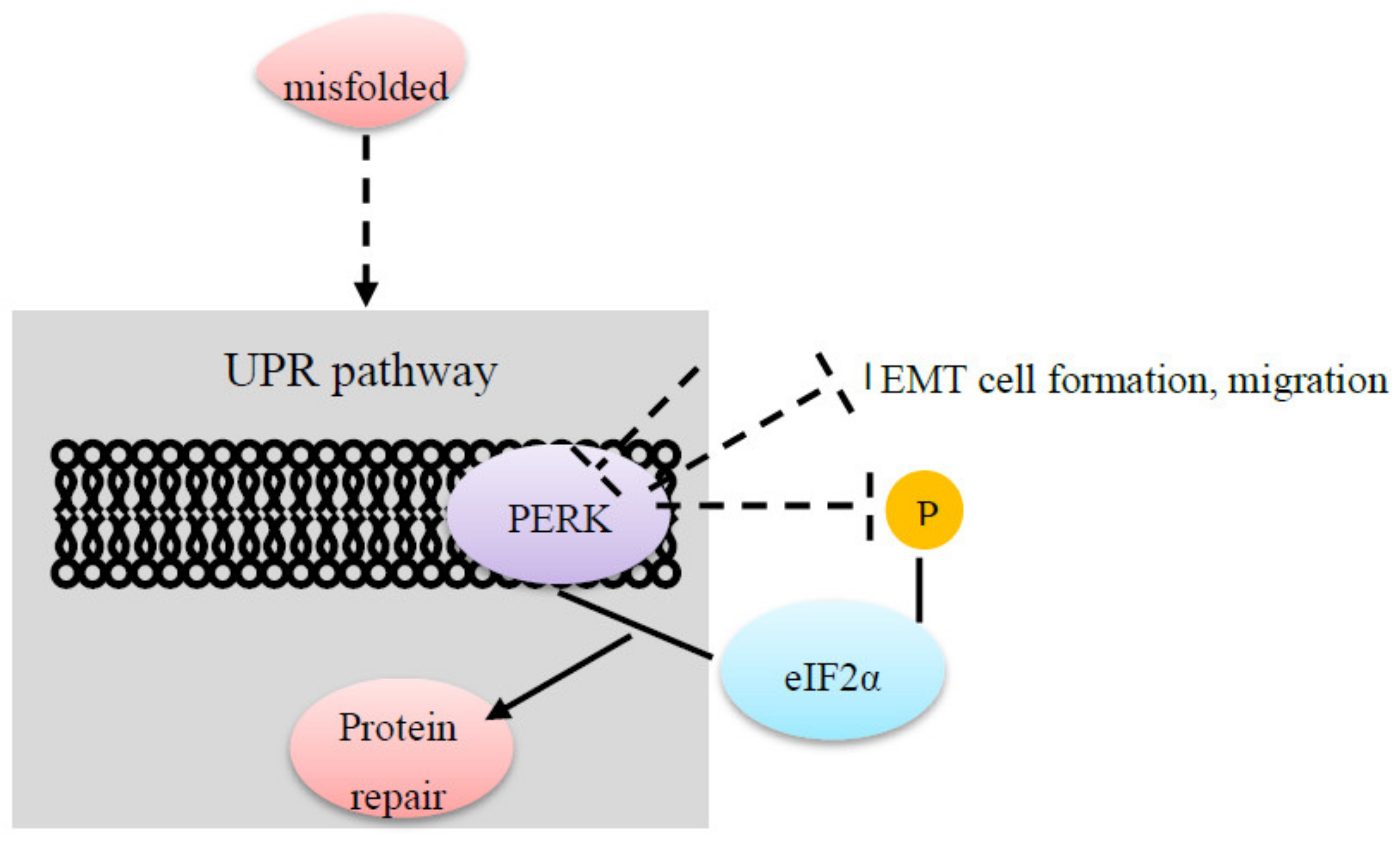 Cancers 12 02074 g002 Cancers 12 02074 g002