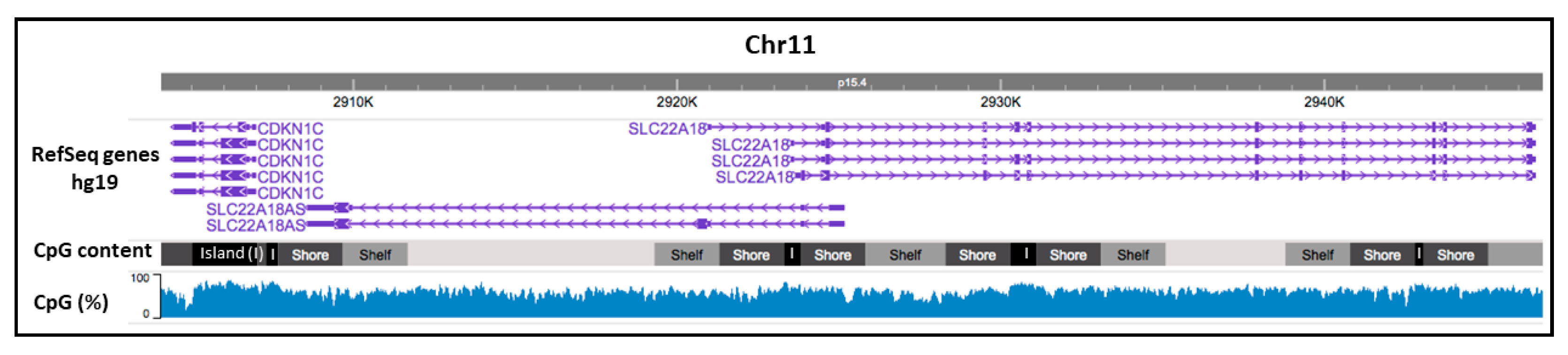 Cancers 12 02075 g001