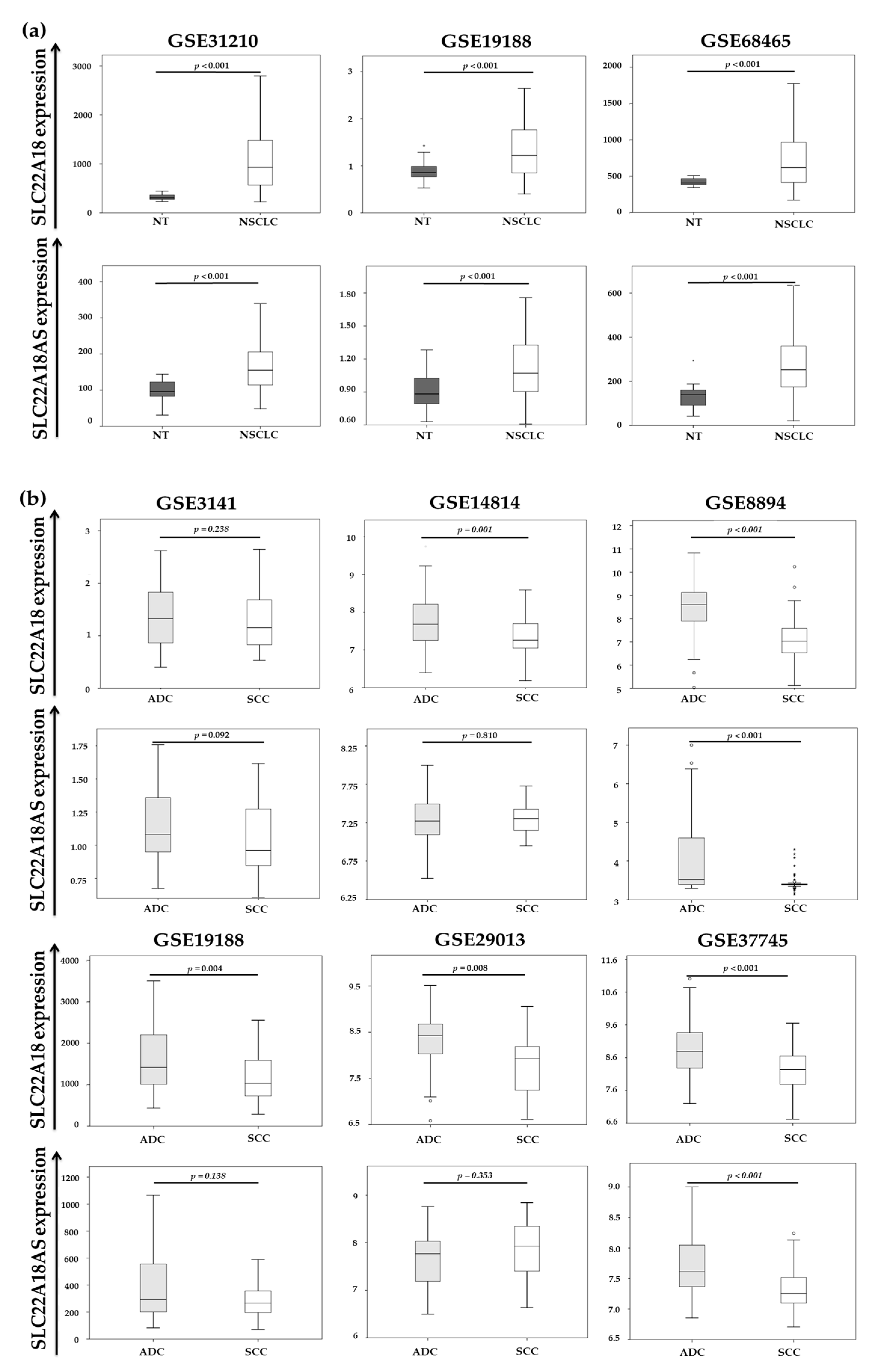 Cancers 12 02075 g003