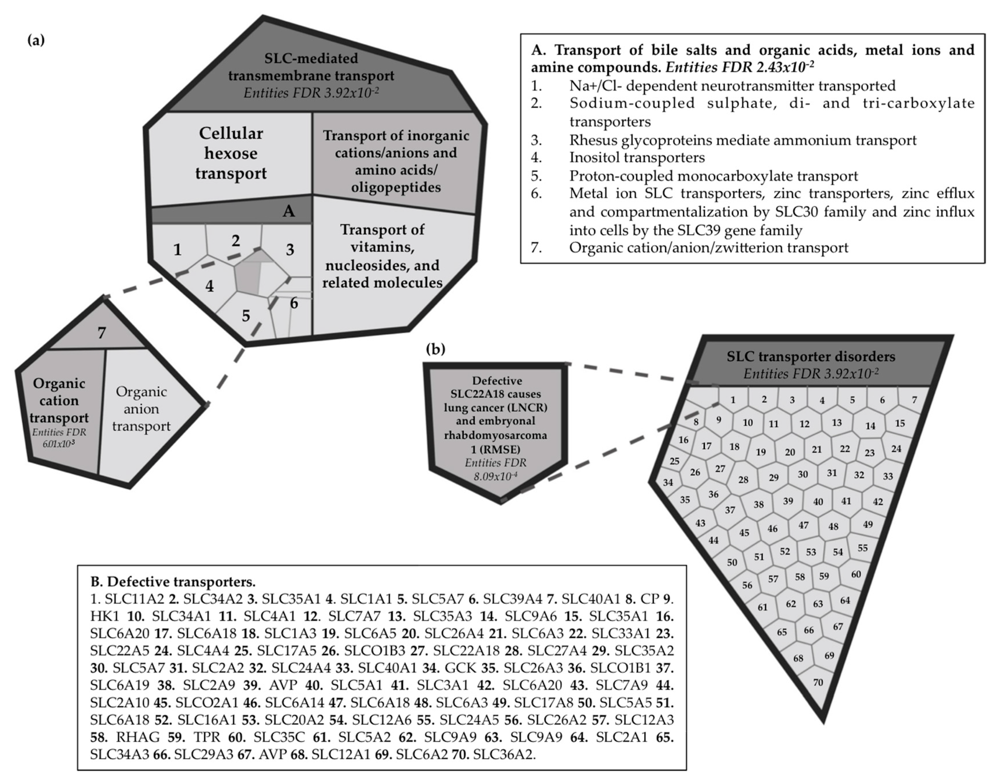 Cancers 12 02075 g008