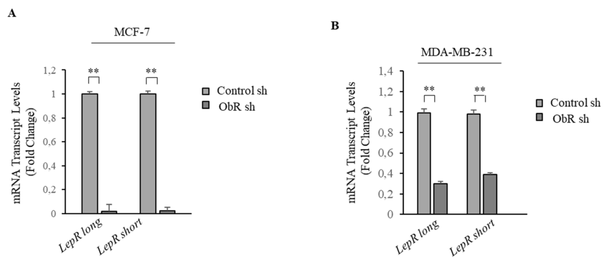 Cancers 12 02078 g001 Cancers 12 02078 g001