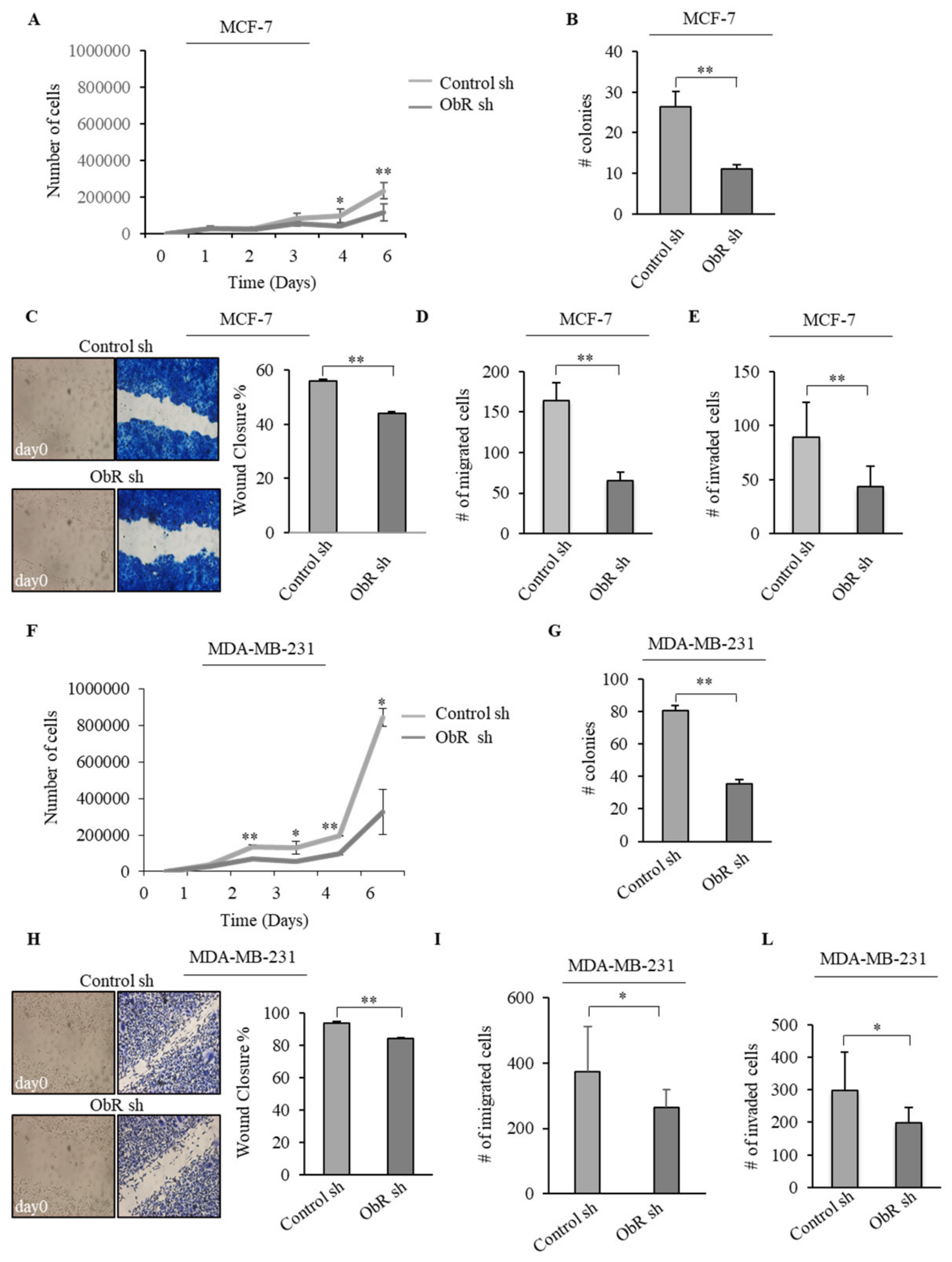 Cancers 12 02078 g002 Cancers 12 02078 g002