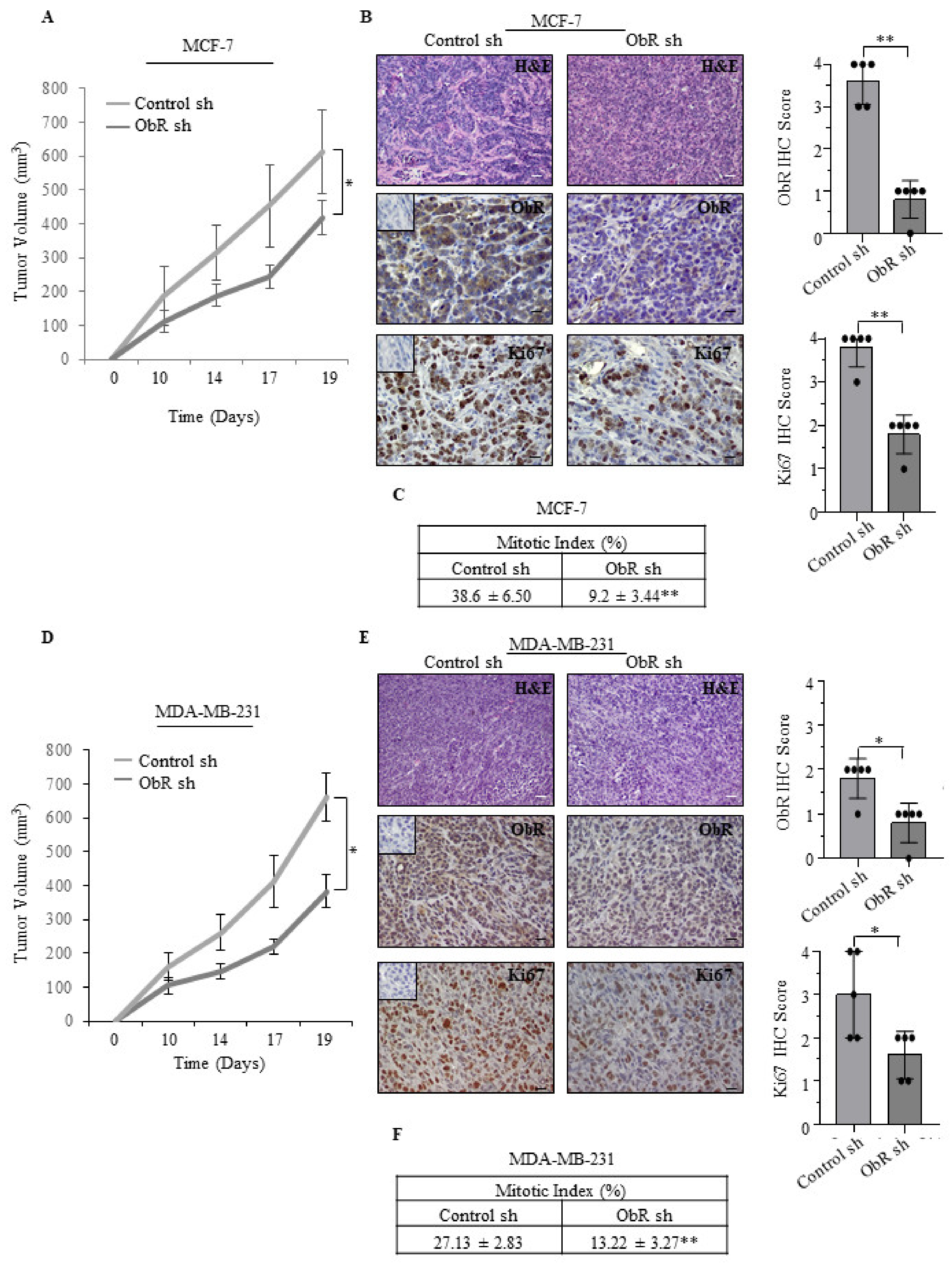 Cancers 12 02078 g003 Cancers 12 02078 g003