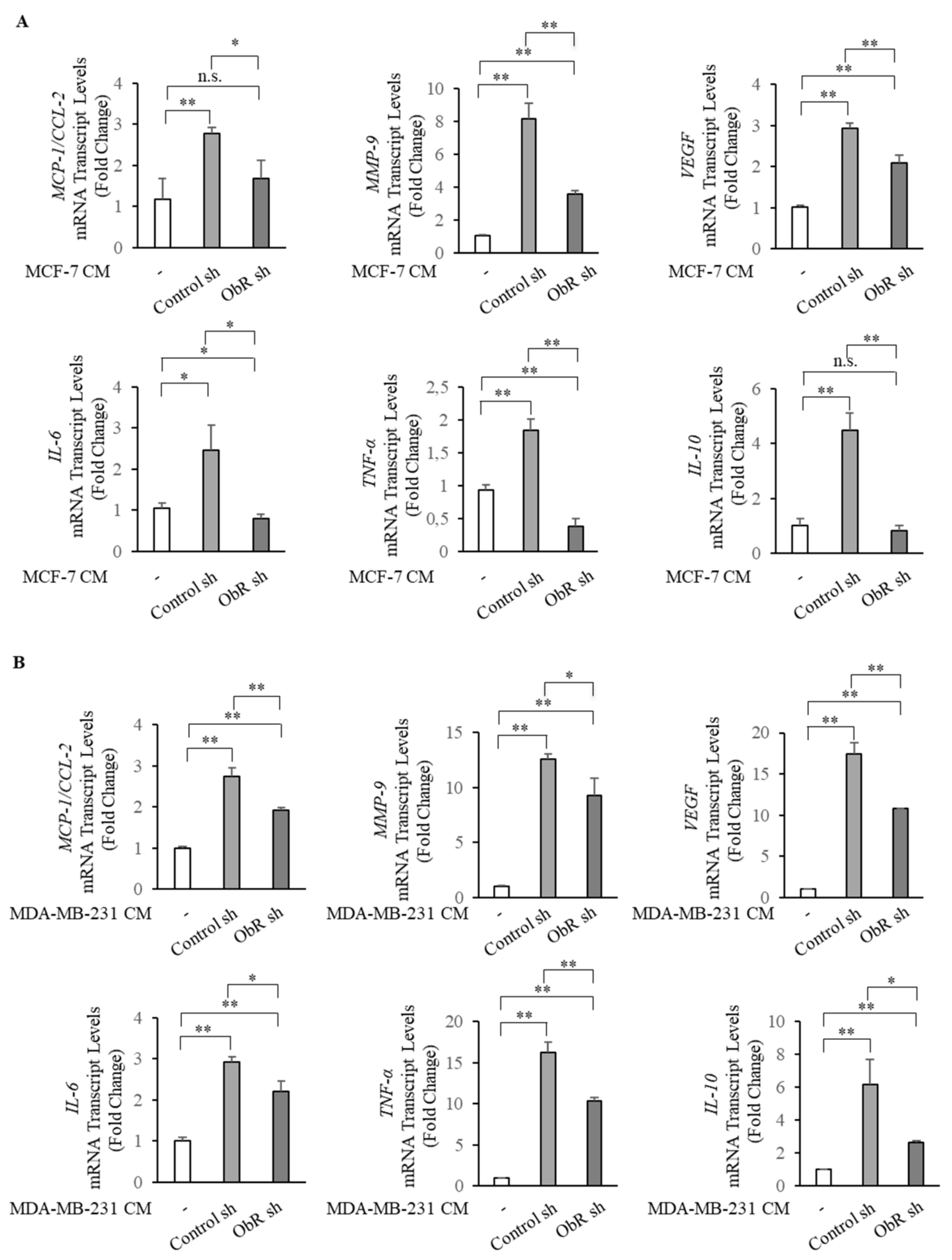 Cancers 12 02078 g006 Cancers 12 02078 g006