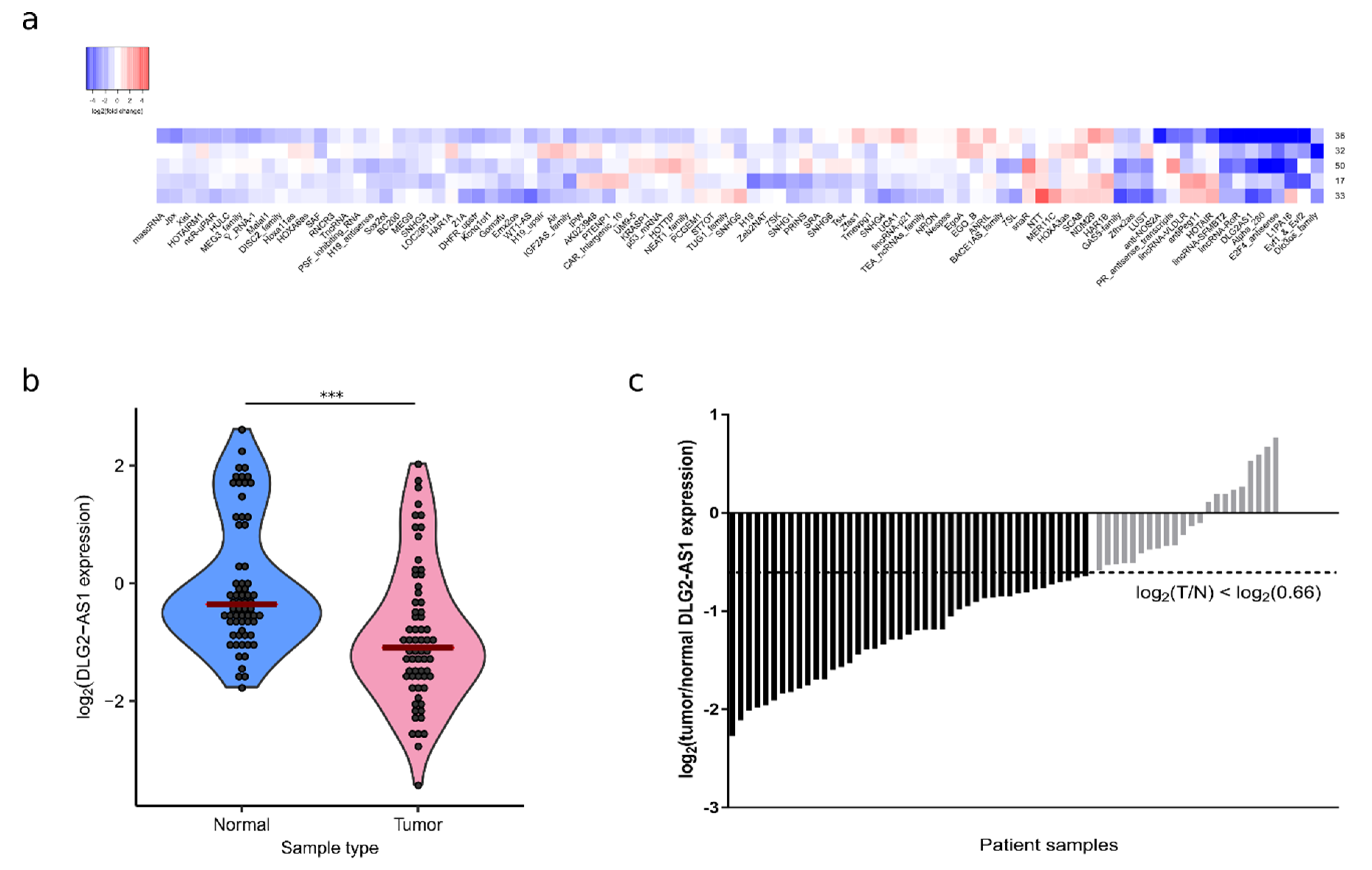 Cancers 12 02080 g001 Cancers 12 02080 g001