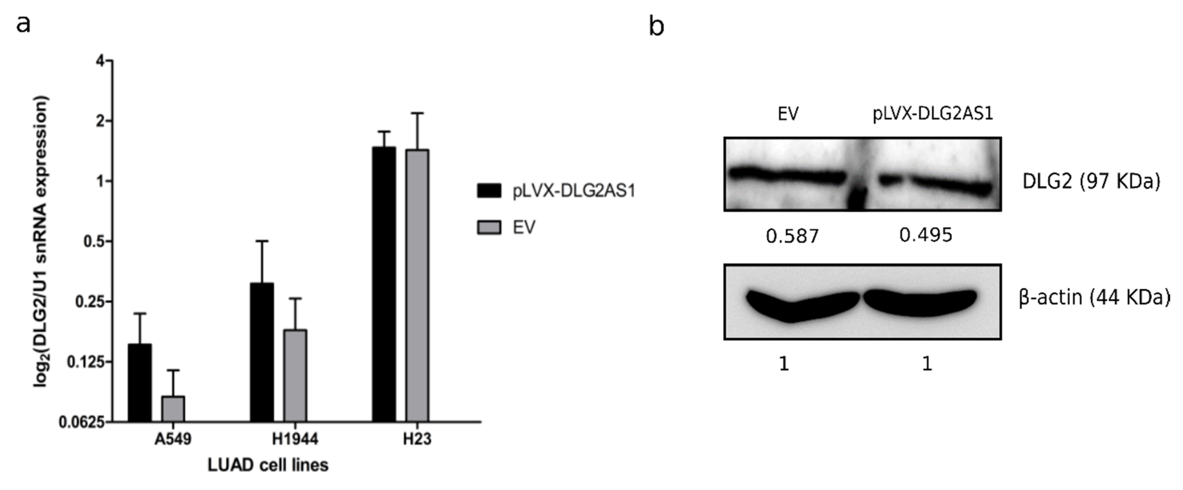 Cancers 12 02080 g0a2 Cancers 12 02080 g0a2