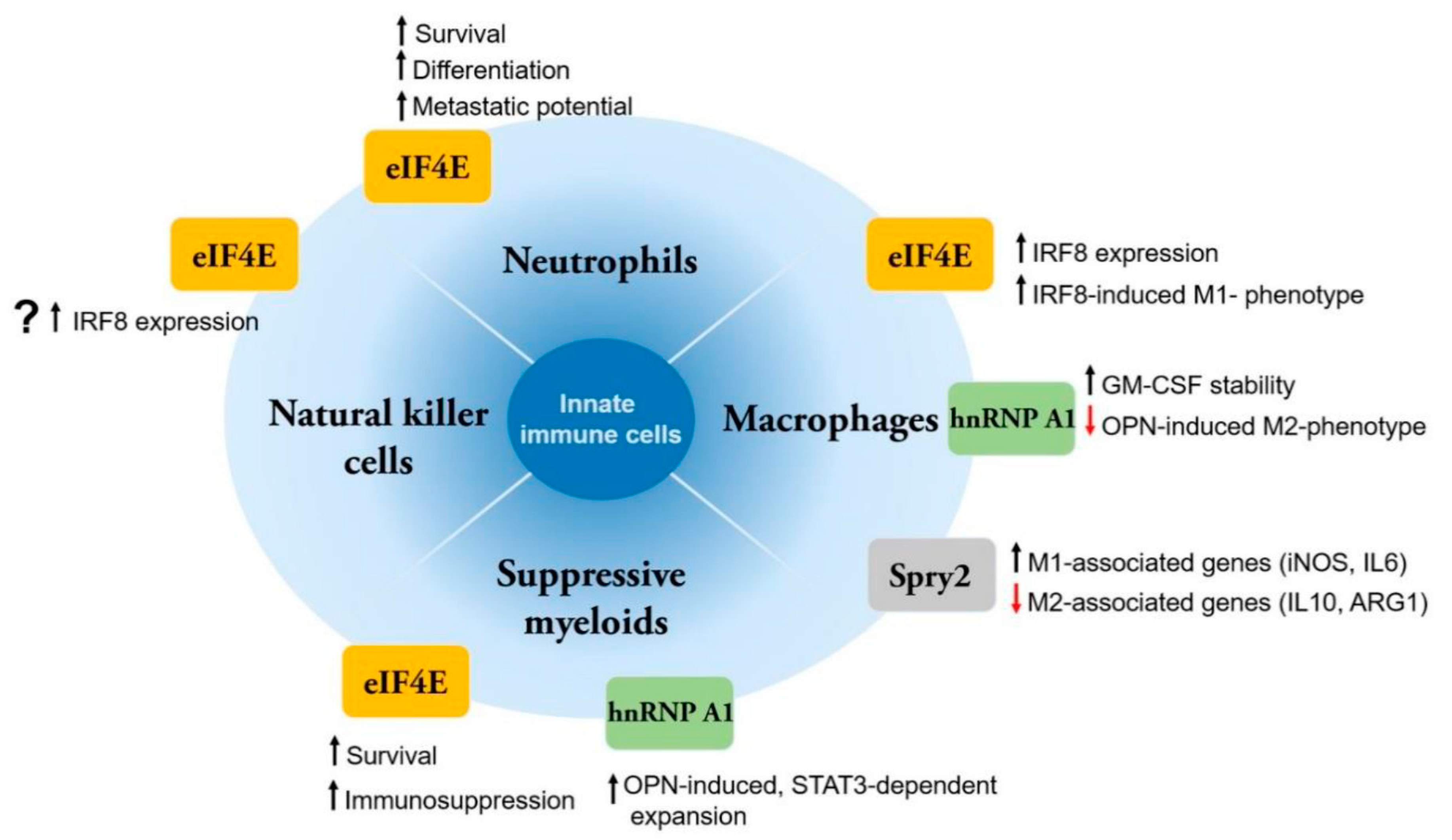 Cancers 12 02096 g001 Cancers 12 02096 g001