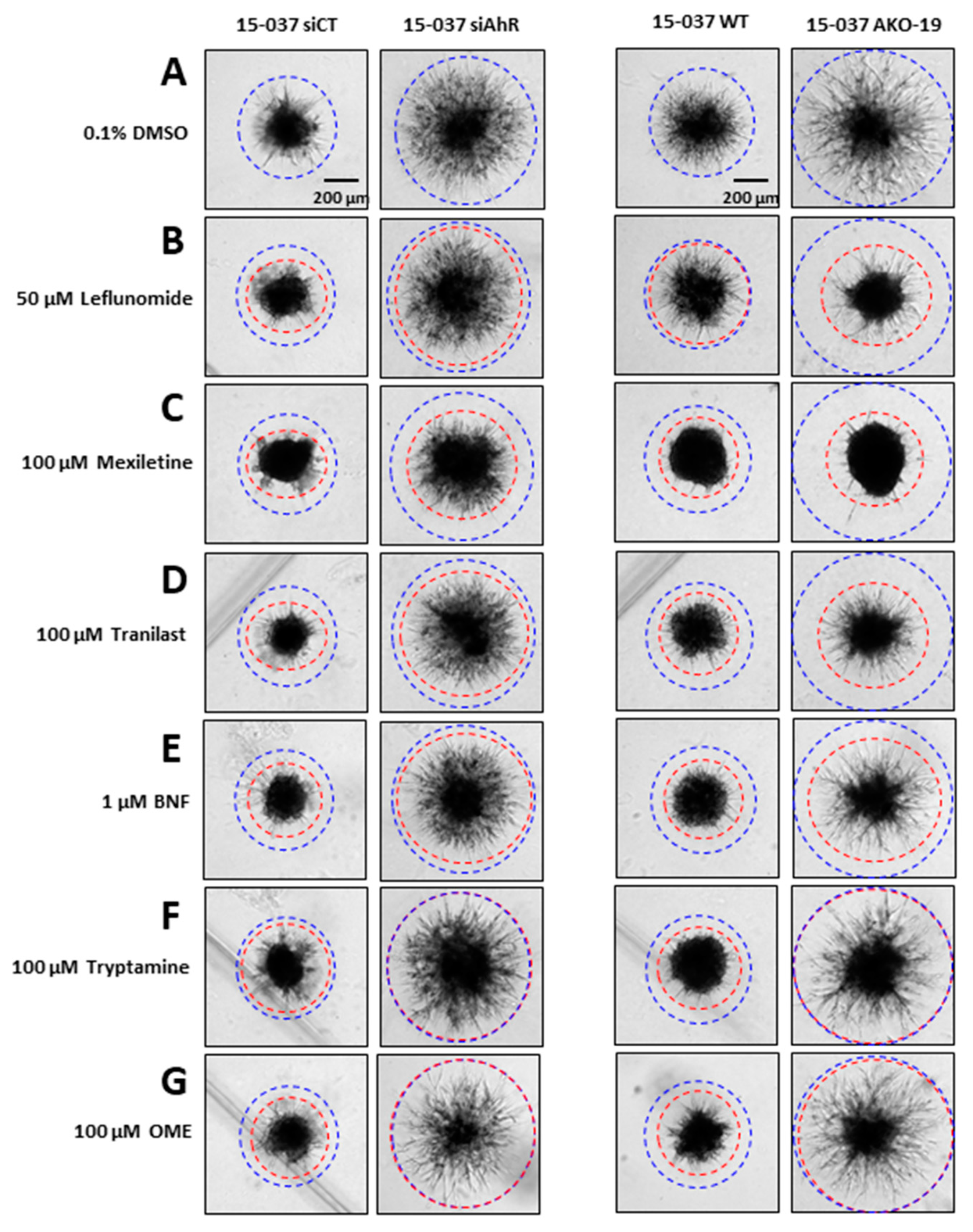 Cancers 12 02097 g001 Cancers 12 02097 g001