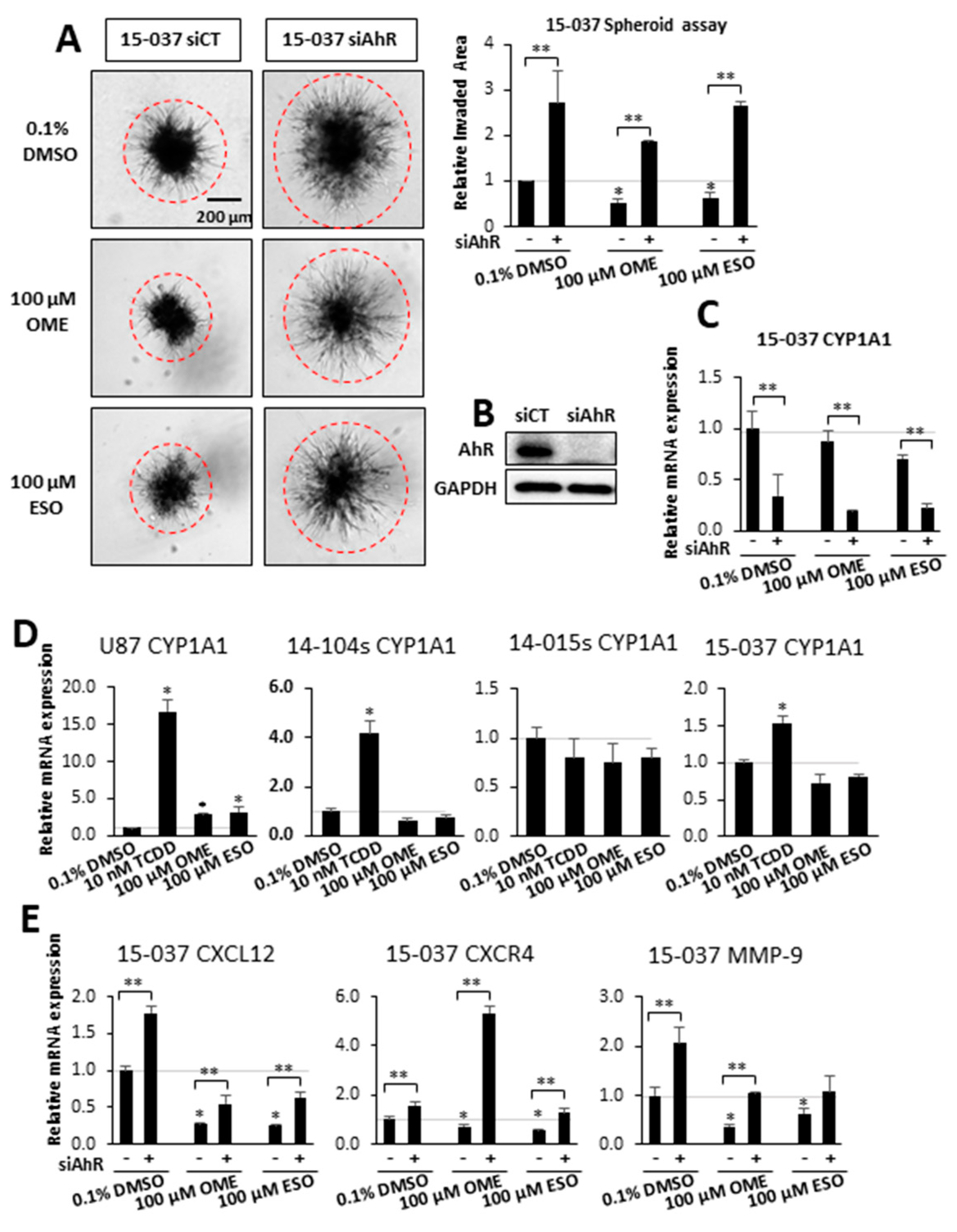 Cancers 12 02097 g002 Cancers 12 02097 g002
