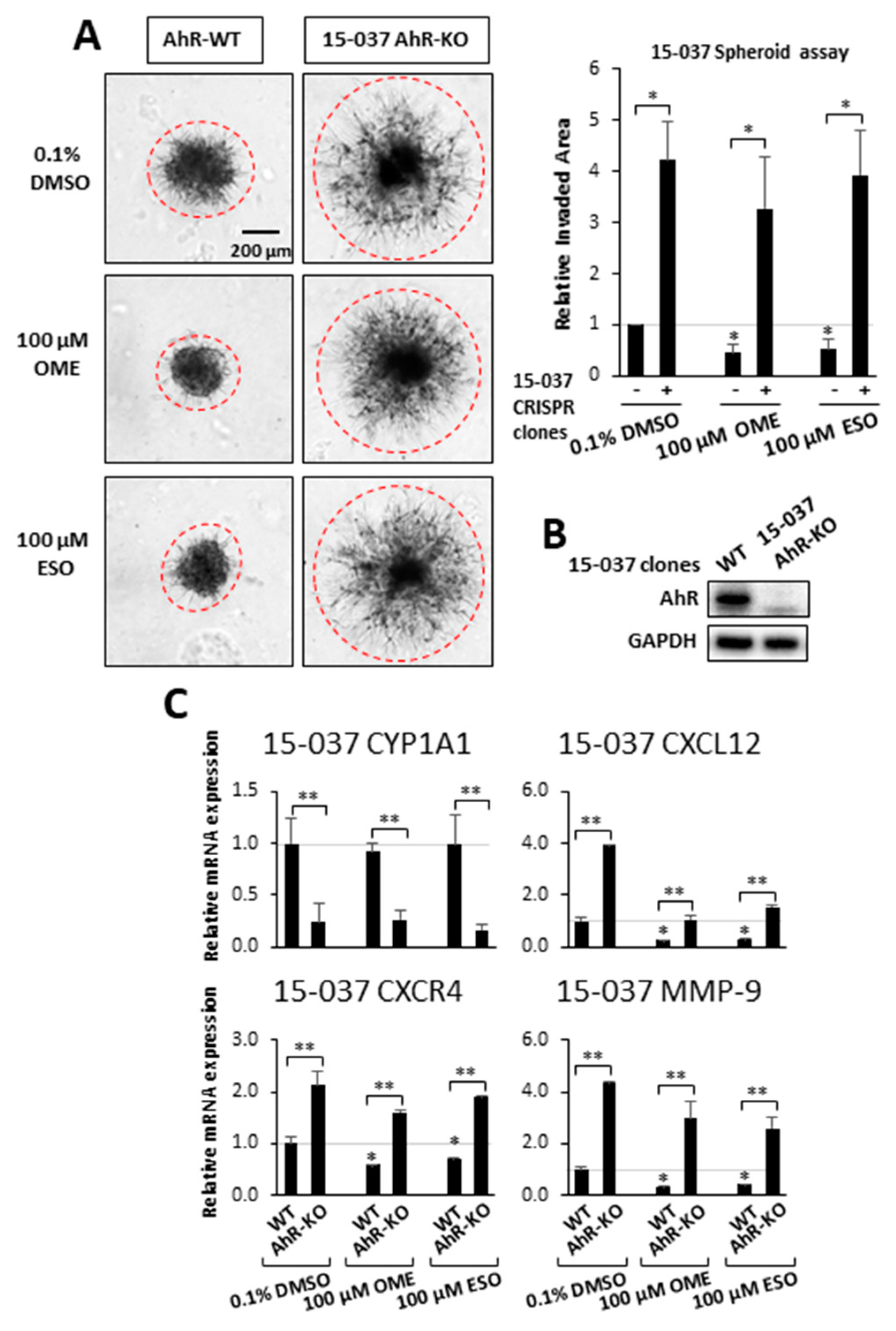 Cancers 12 02097 g003 Cancers 12 02097 g003