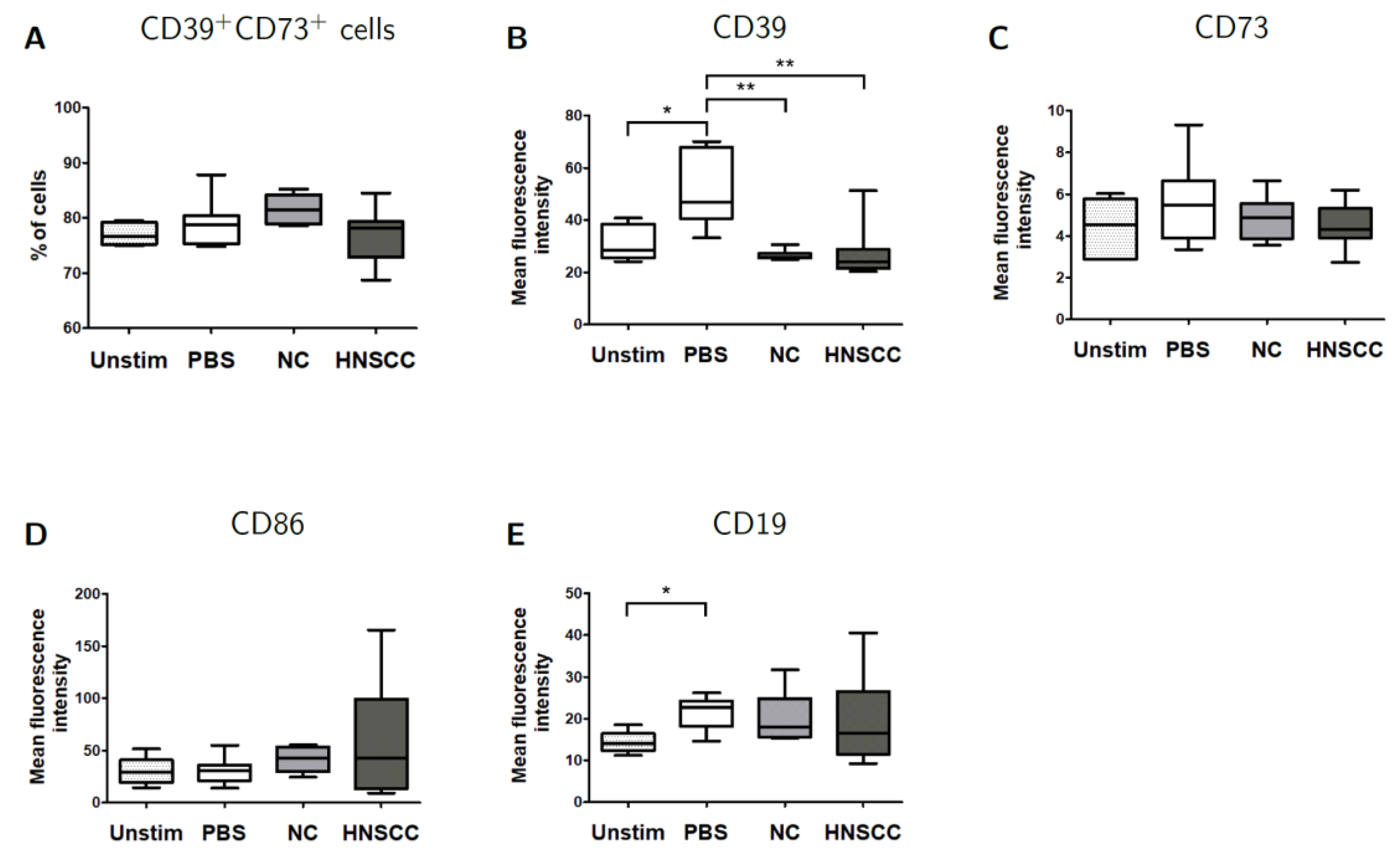 Cancers 12 02110 g005 Cancers 12 02110 g005