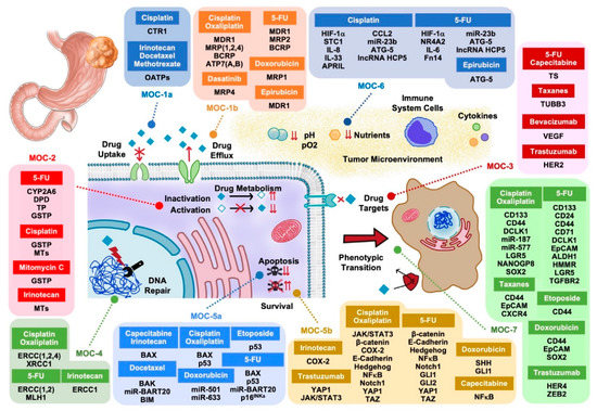 Cancers | Free Full-Text | Molecular Bases of Mechanisms Cancers | Free Full-Text | Molecular Bases of Mechanisms