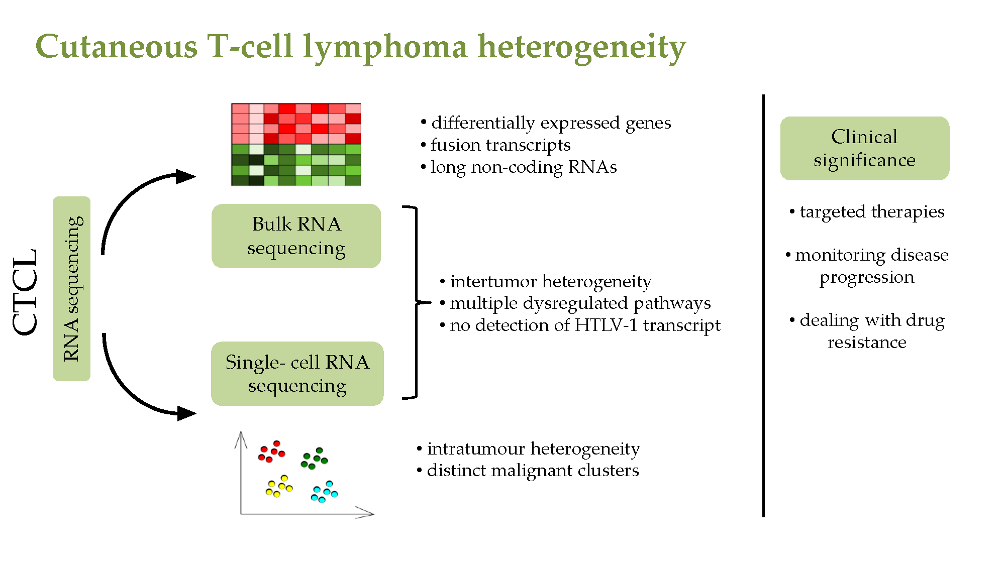 t cell lymphomas revealed using rna seq