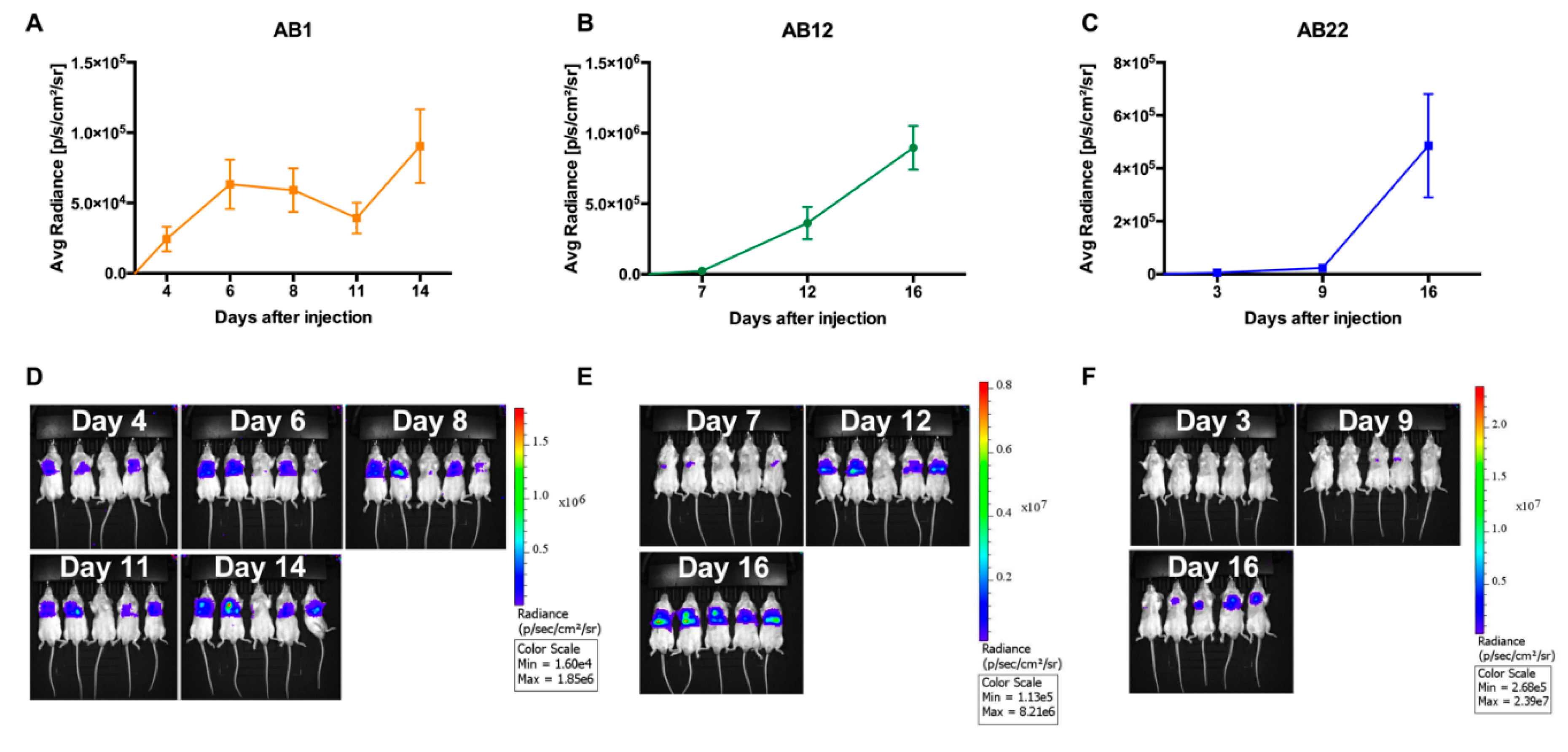 is antibody test for covid 19 fda approved