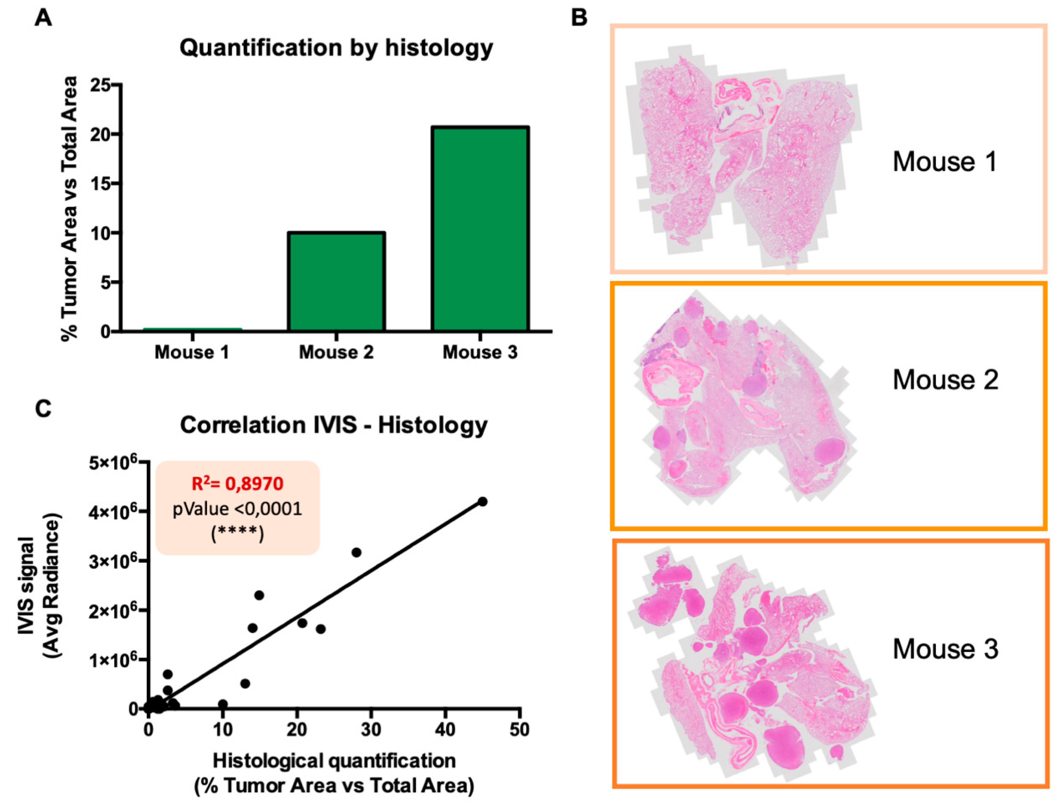 Cancers 12 02136 g007 Cancers 12 02136 g007