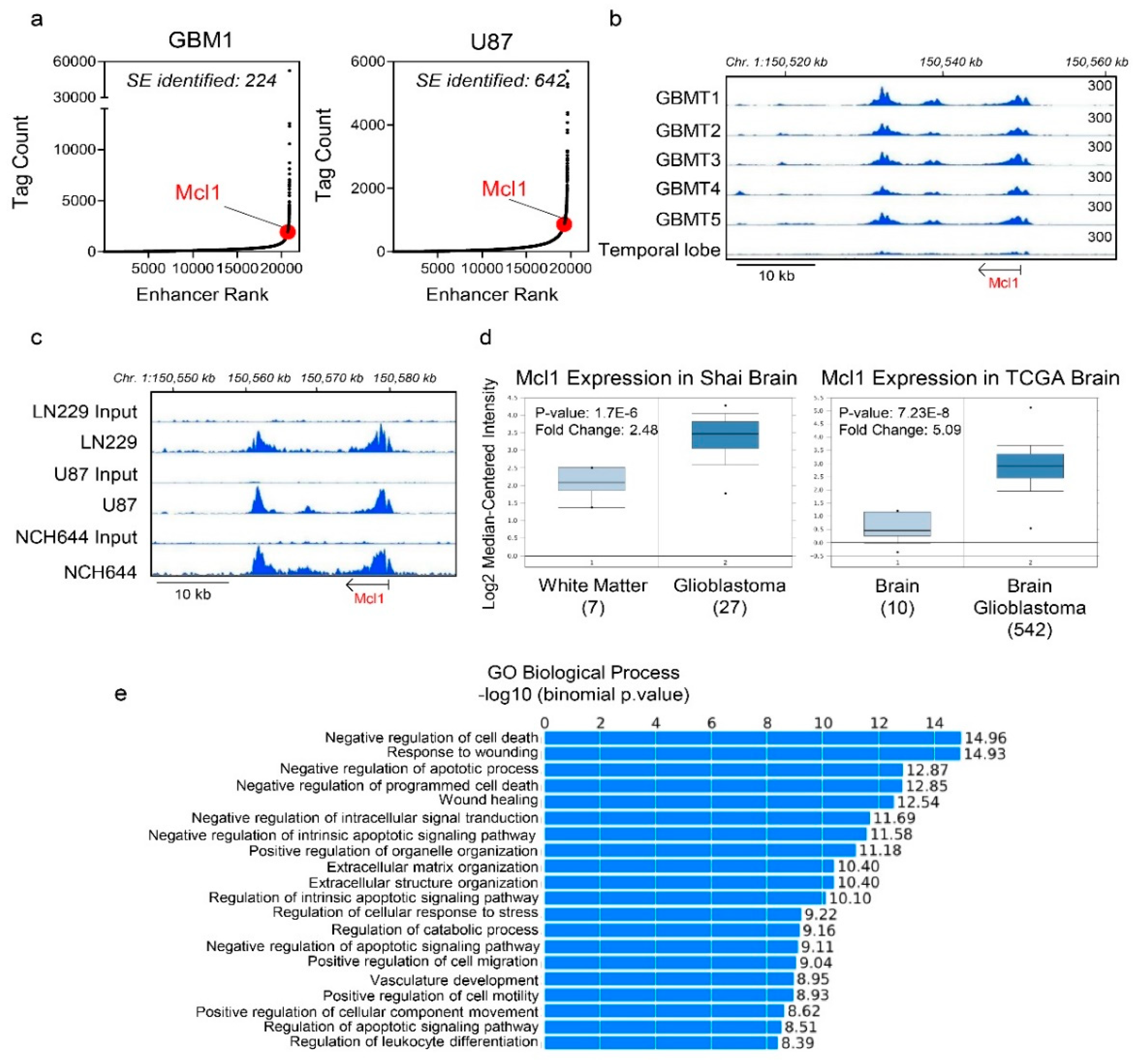 Cancers 12 02137 g001