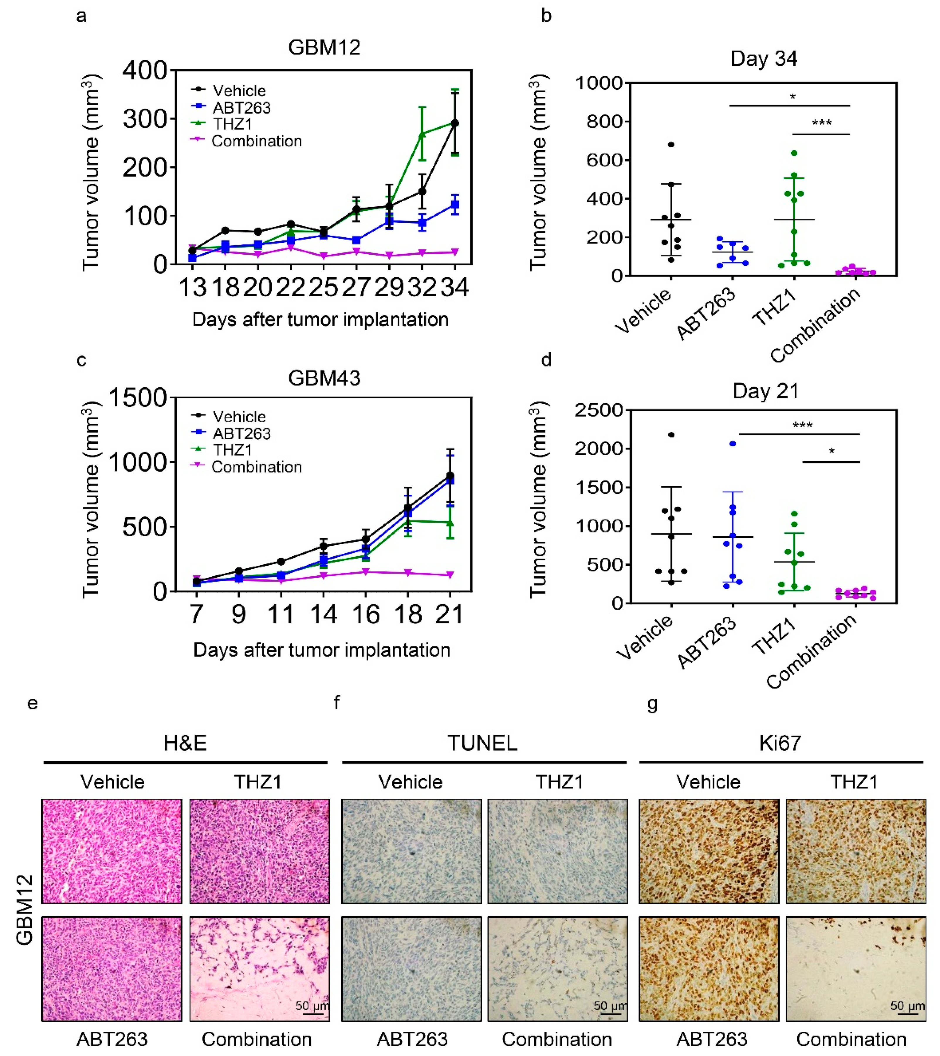 Cancers 12 02137 g006