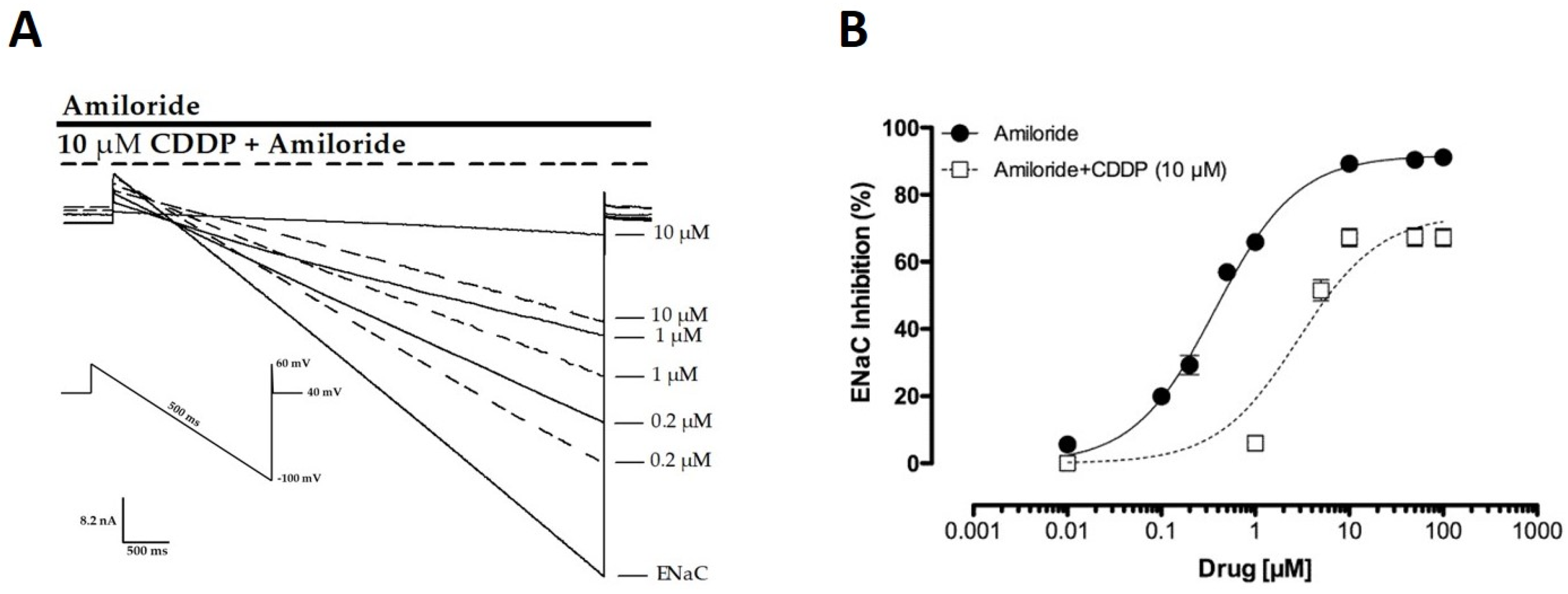 Cancers Free Full Text Cisplatin Decreases Enac Activity Contributing To Renal Salt Wasting Syndrome Html Cancers Free Full Text Cisplatin Decreases Enac Activity Contributing To Renal Salt Wasting Syndrome Html