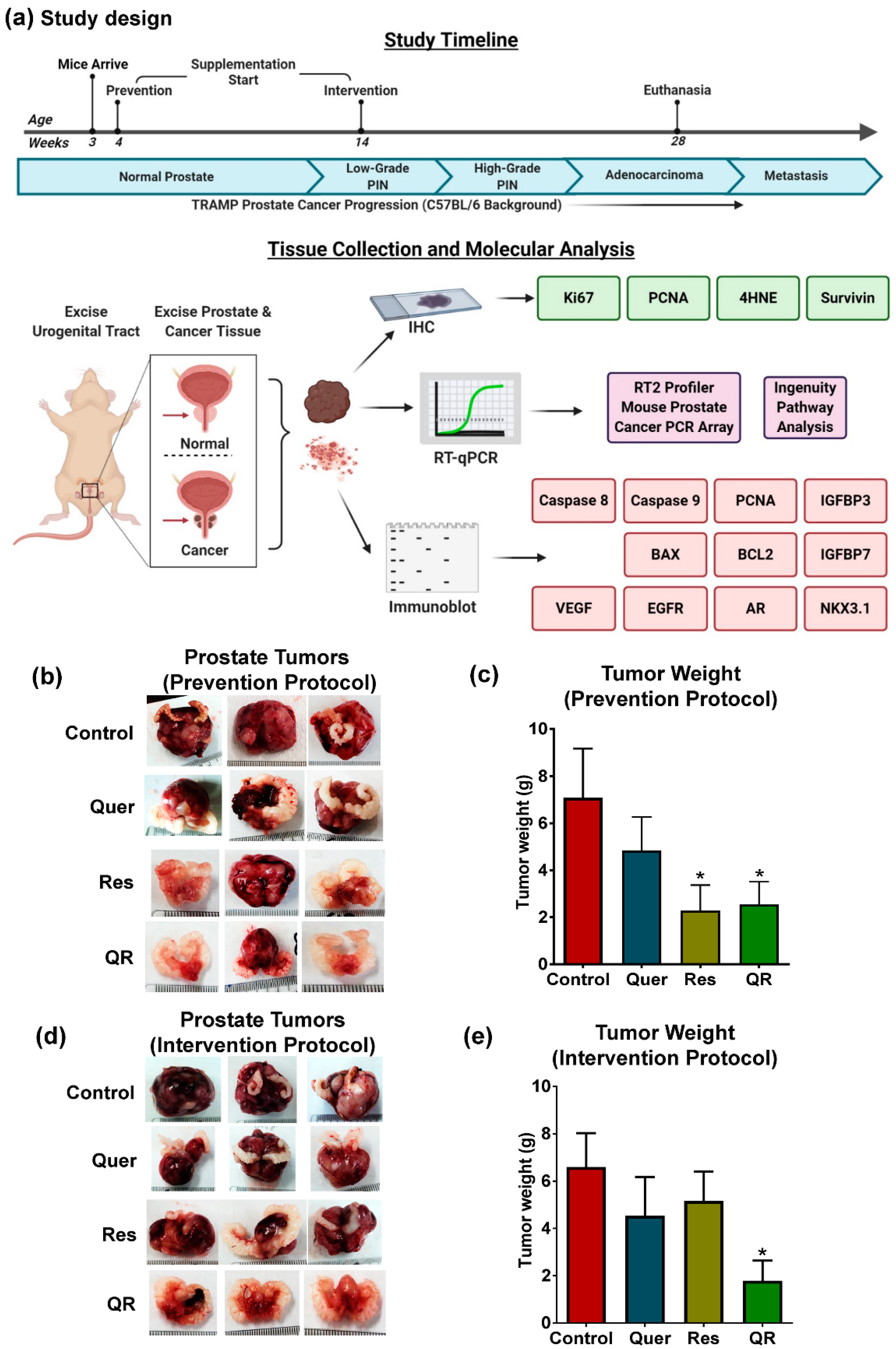 Cancers 12 02141 g001