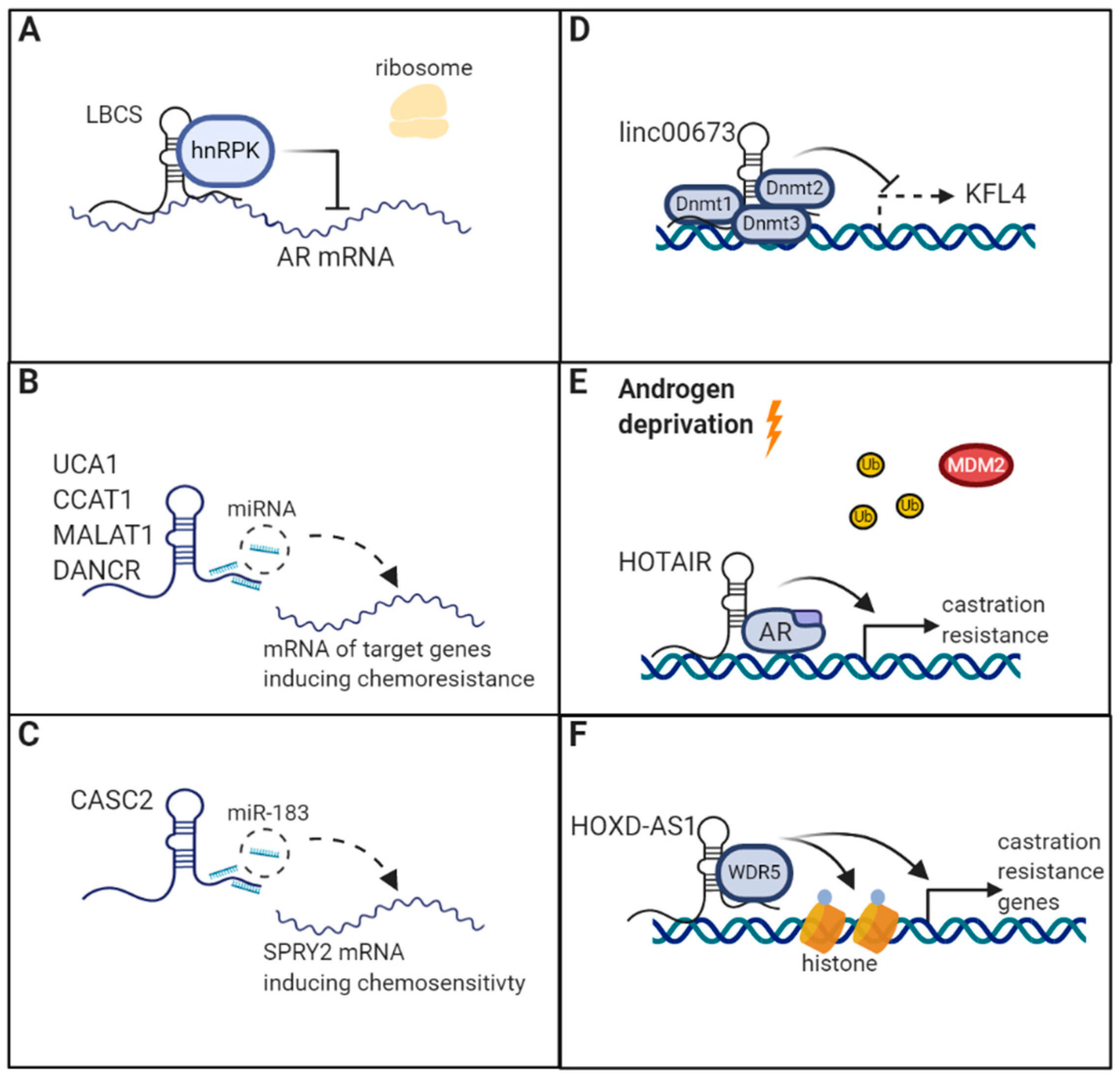 Cancers 12 02148 g003 Cancers 12 02148 g003