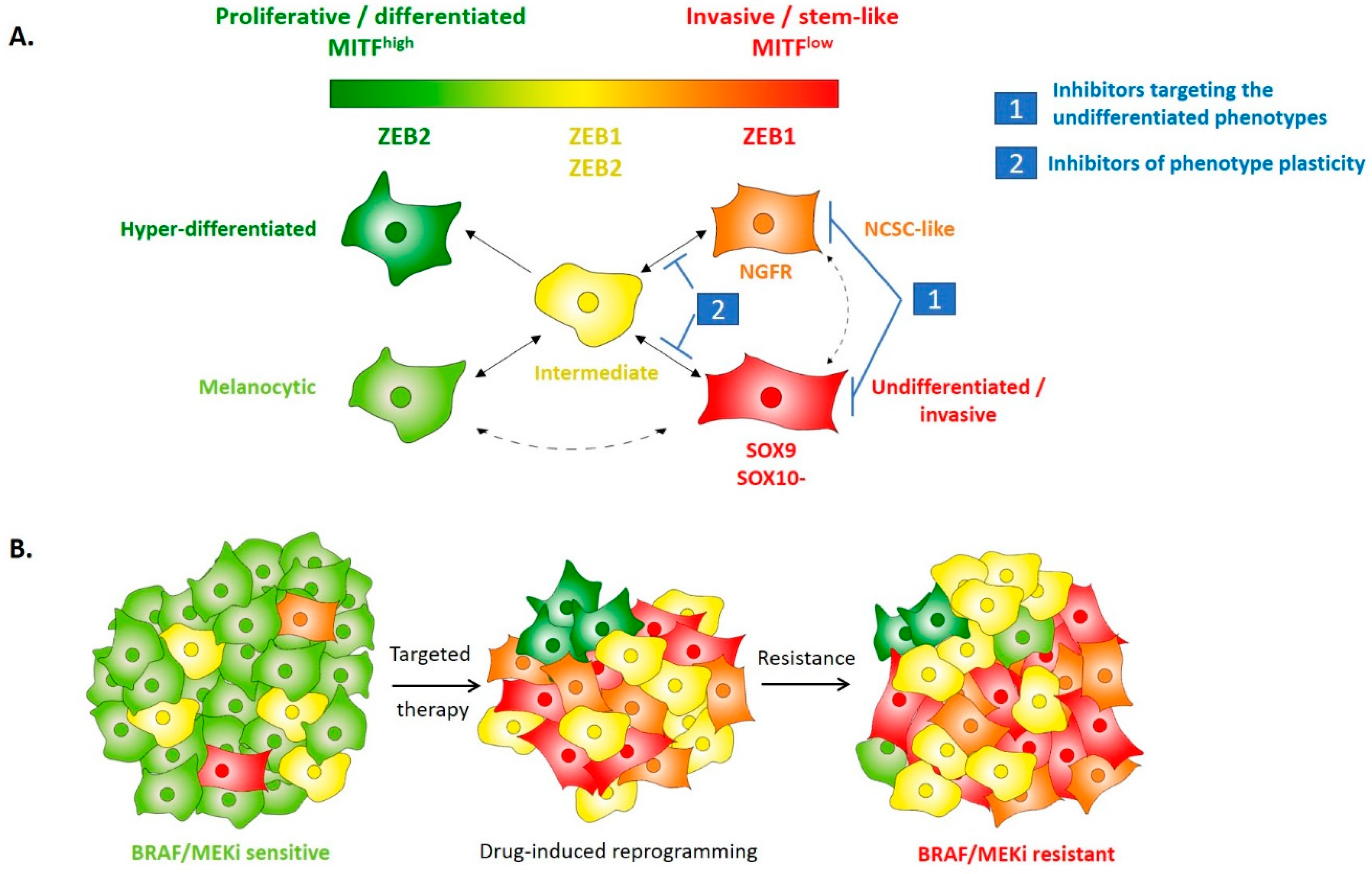 Cancers 12 02154 g003