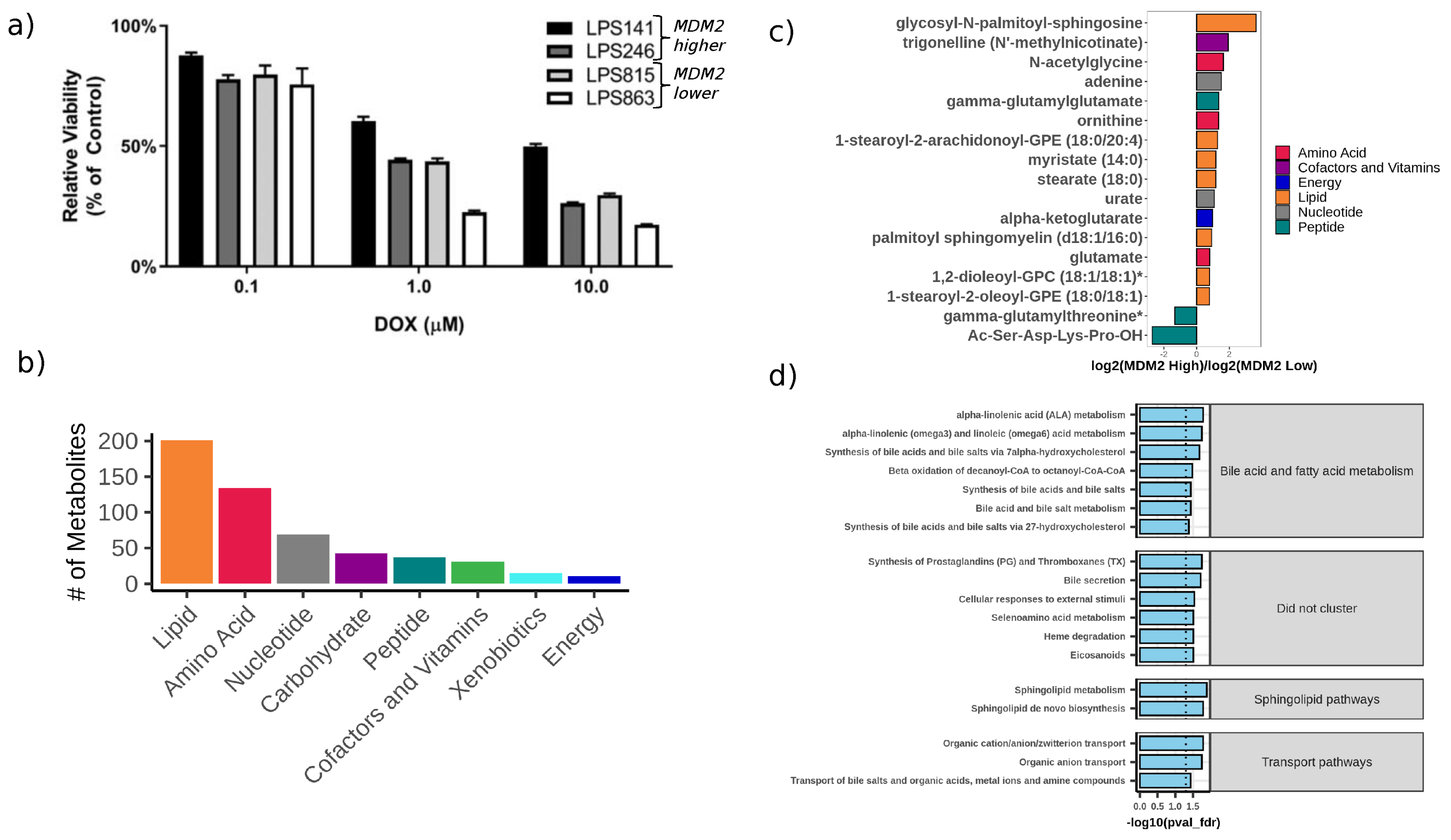 Cancers 12 02157 g001