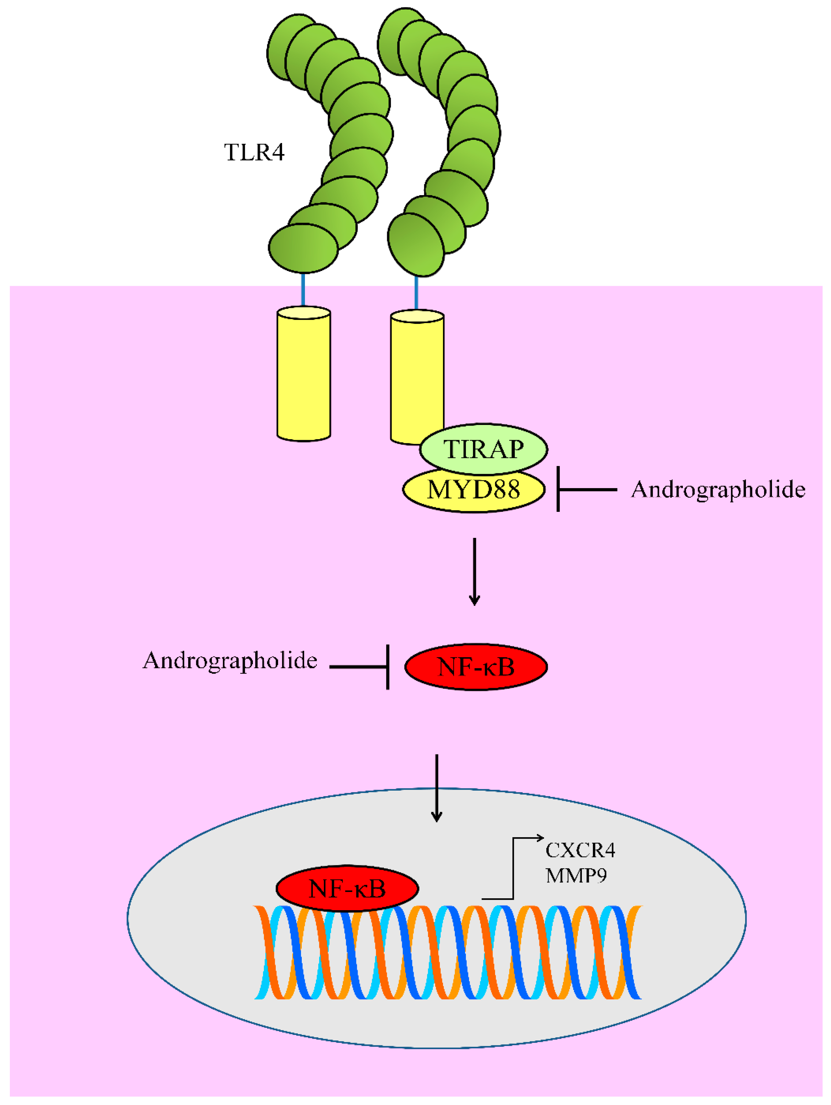 Cancers 12 02159 g005