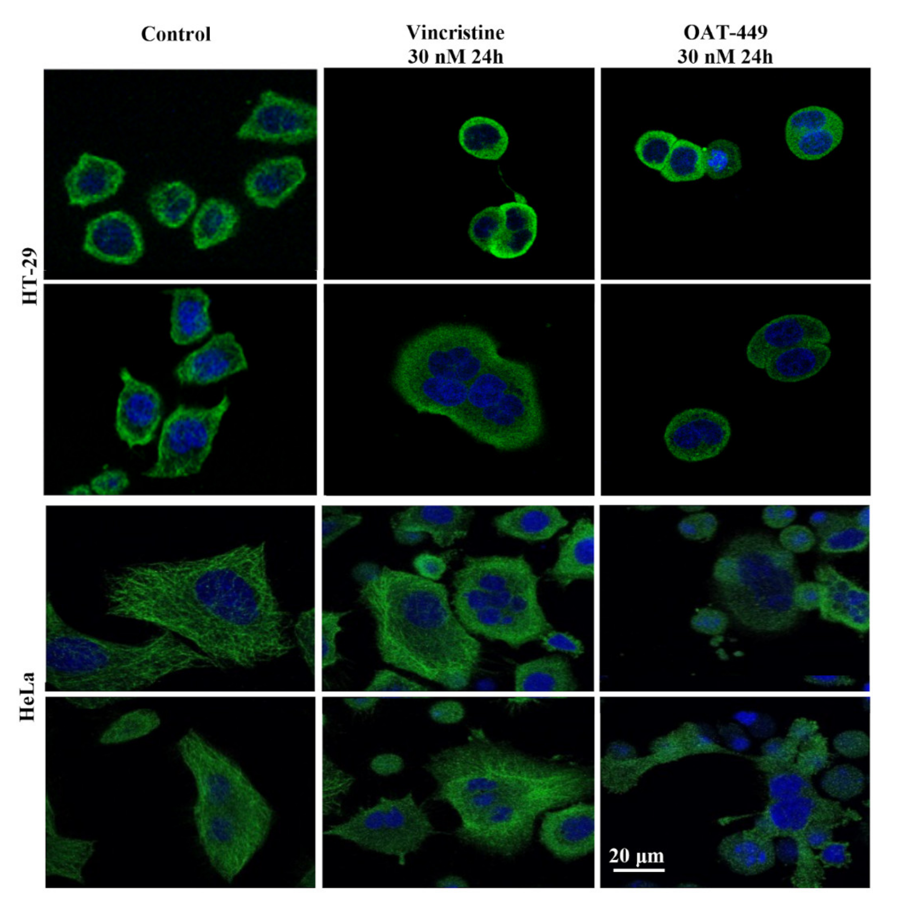 Cancers 12 02161 g005