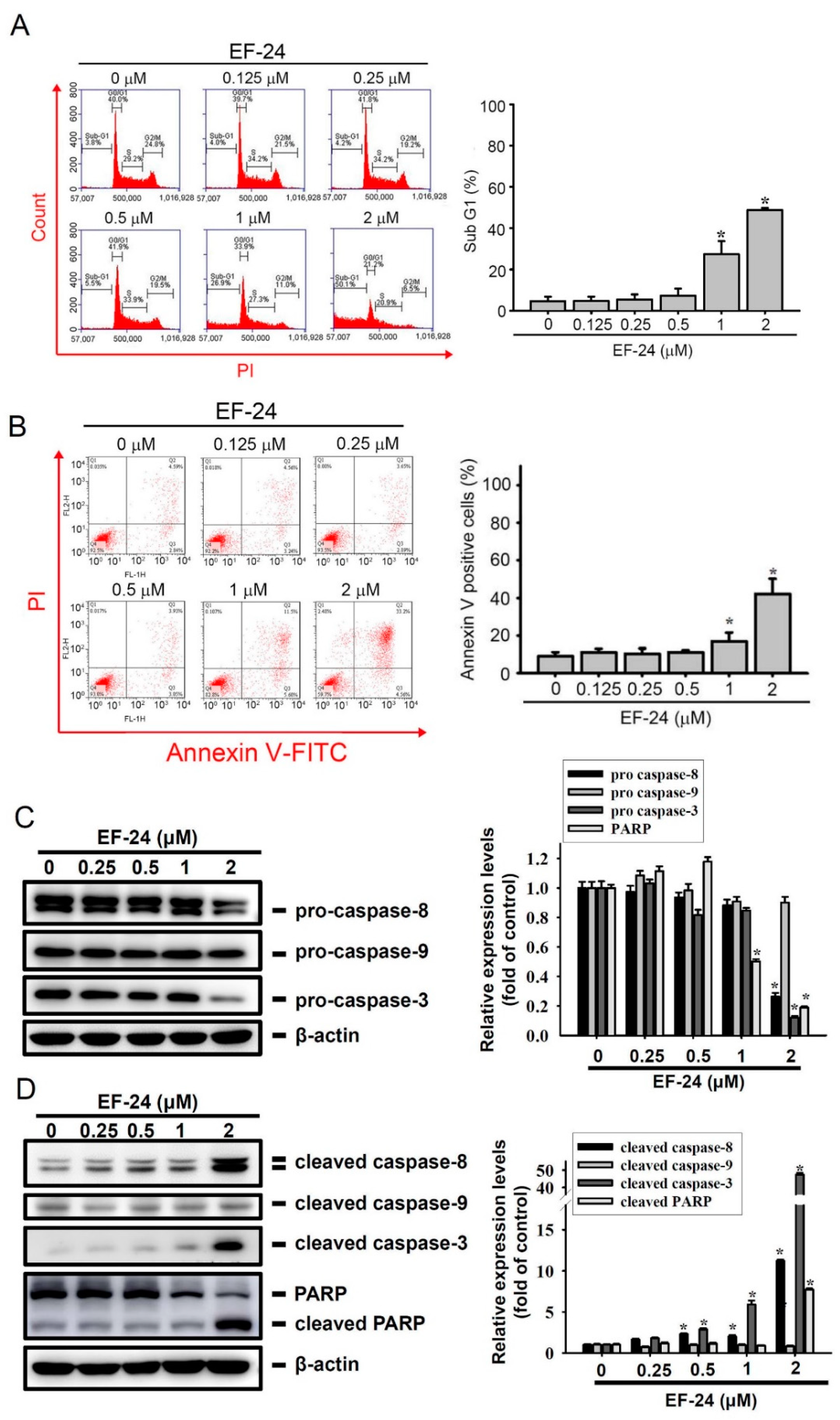 Cancers 12 02163 g002 Cancers 12 02163 g002