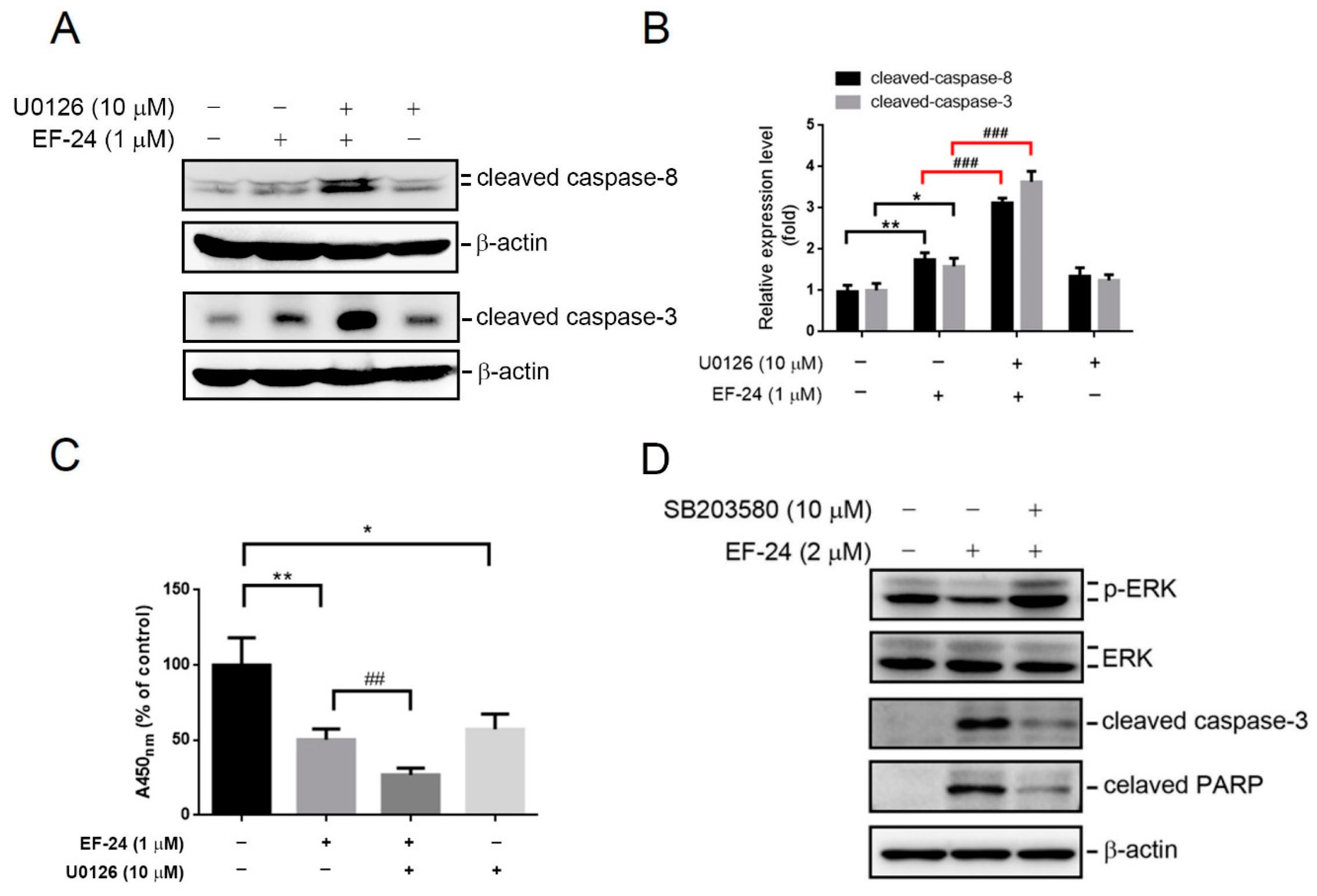 Cancers 12 02163 g004 Cancers 12 02163 g004