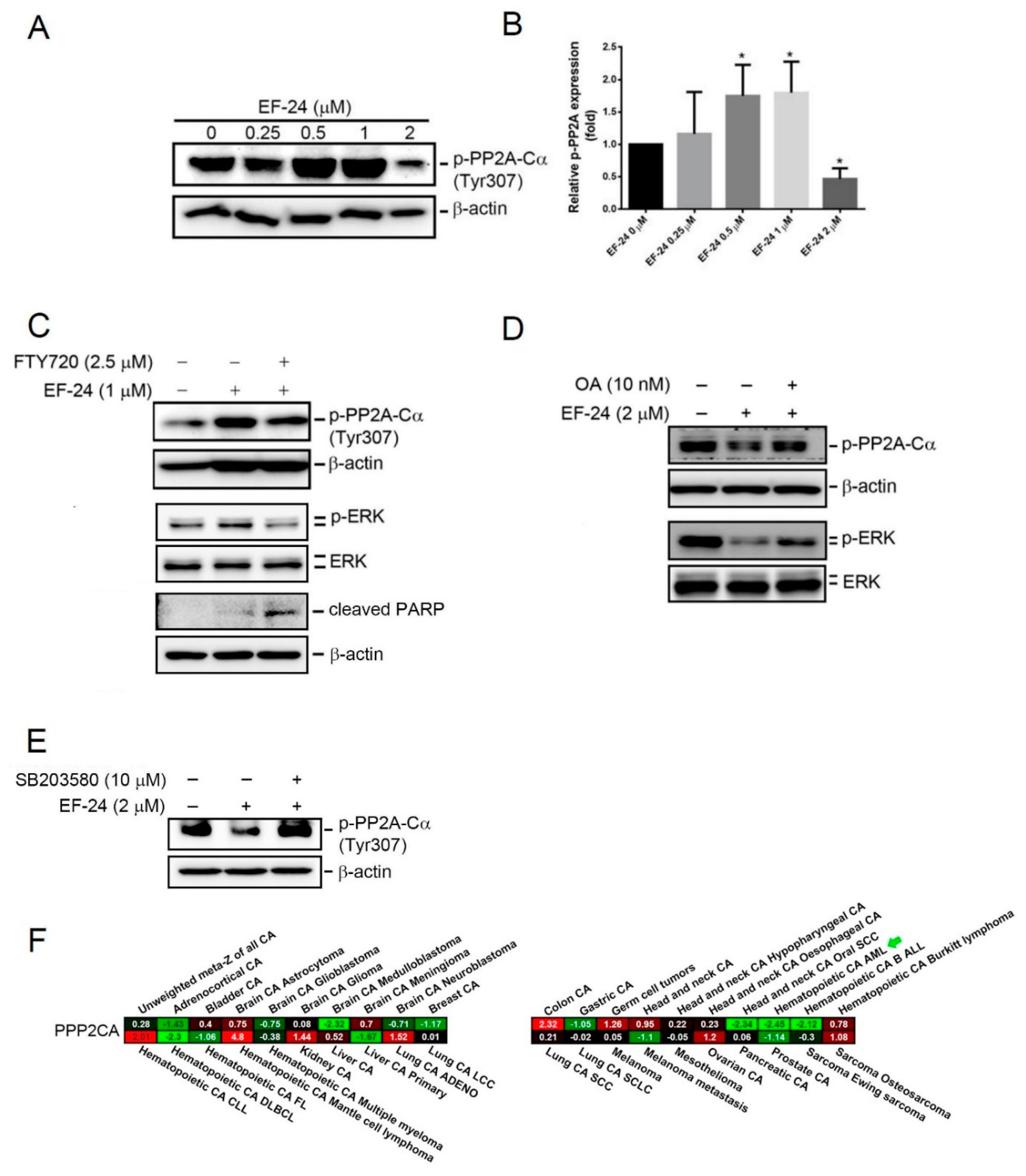 Cancers 12 02163 g005 Cancers 12 02163 g005