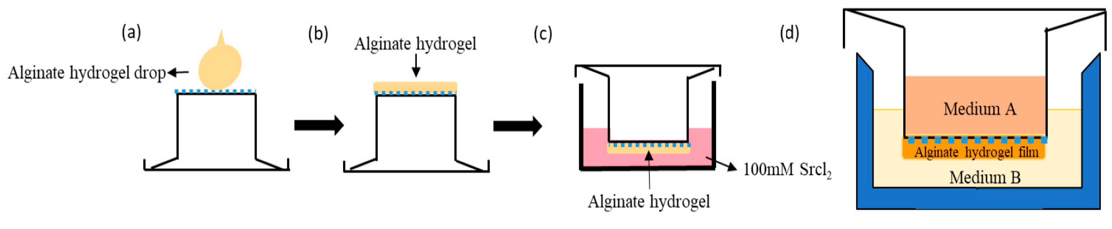 Cancers 12 02176 g001