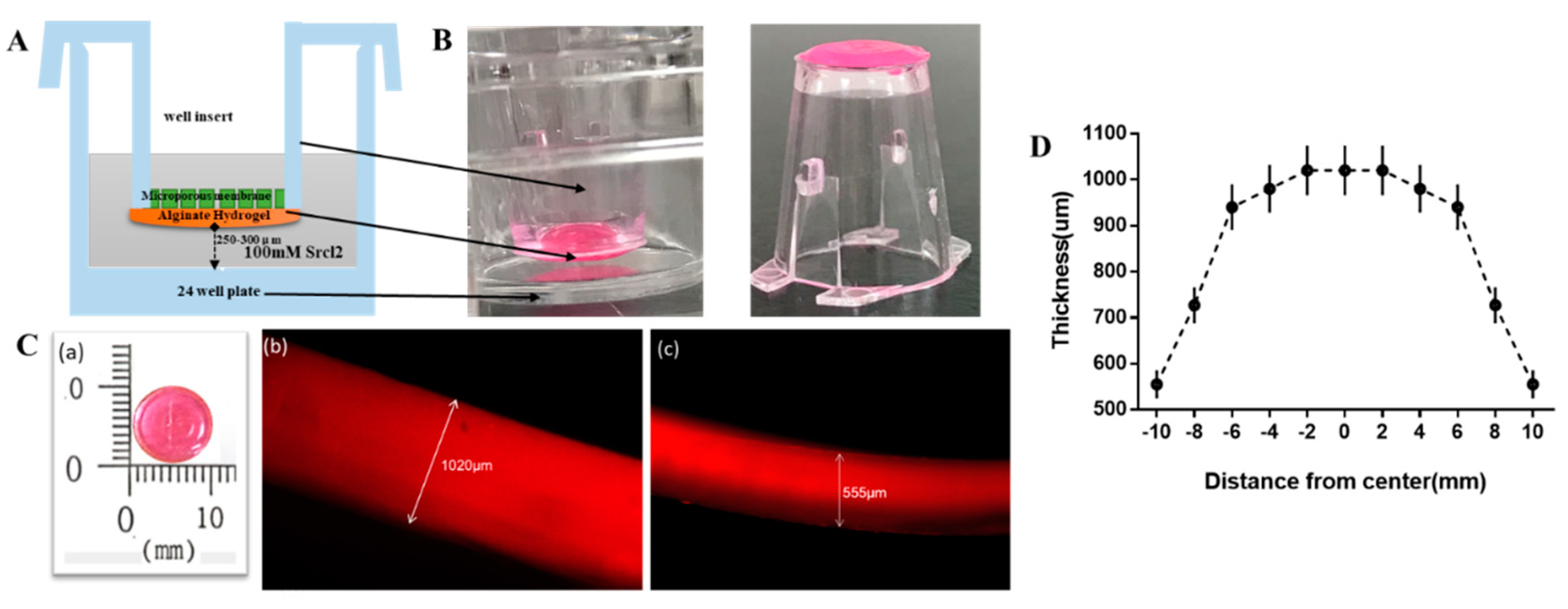 Cancers 12 02176 g002