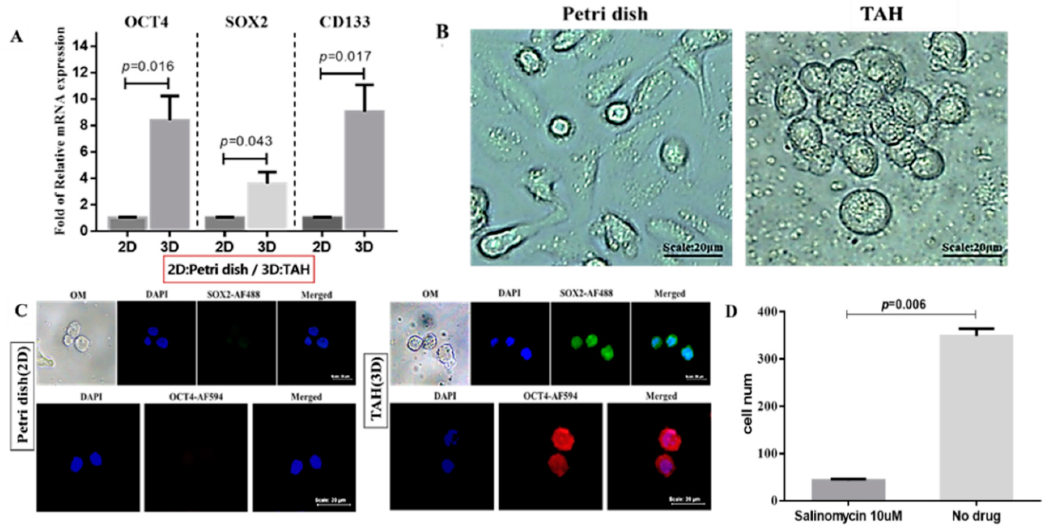 Cancers 12 02176 g006