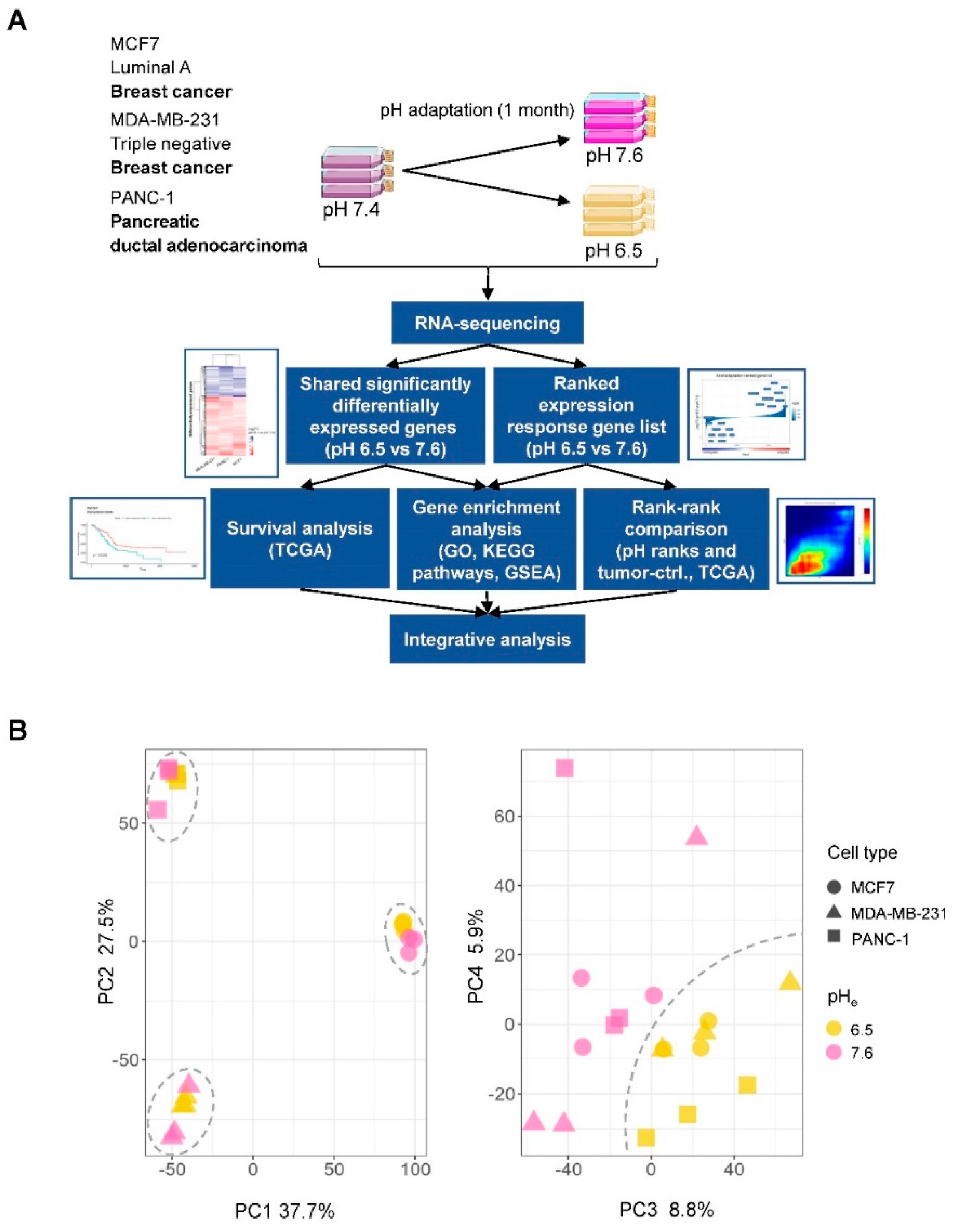 Cancers 12 02183 g001 Cancers 12 02183 g001