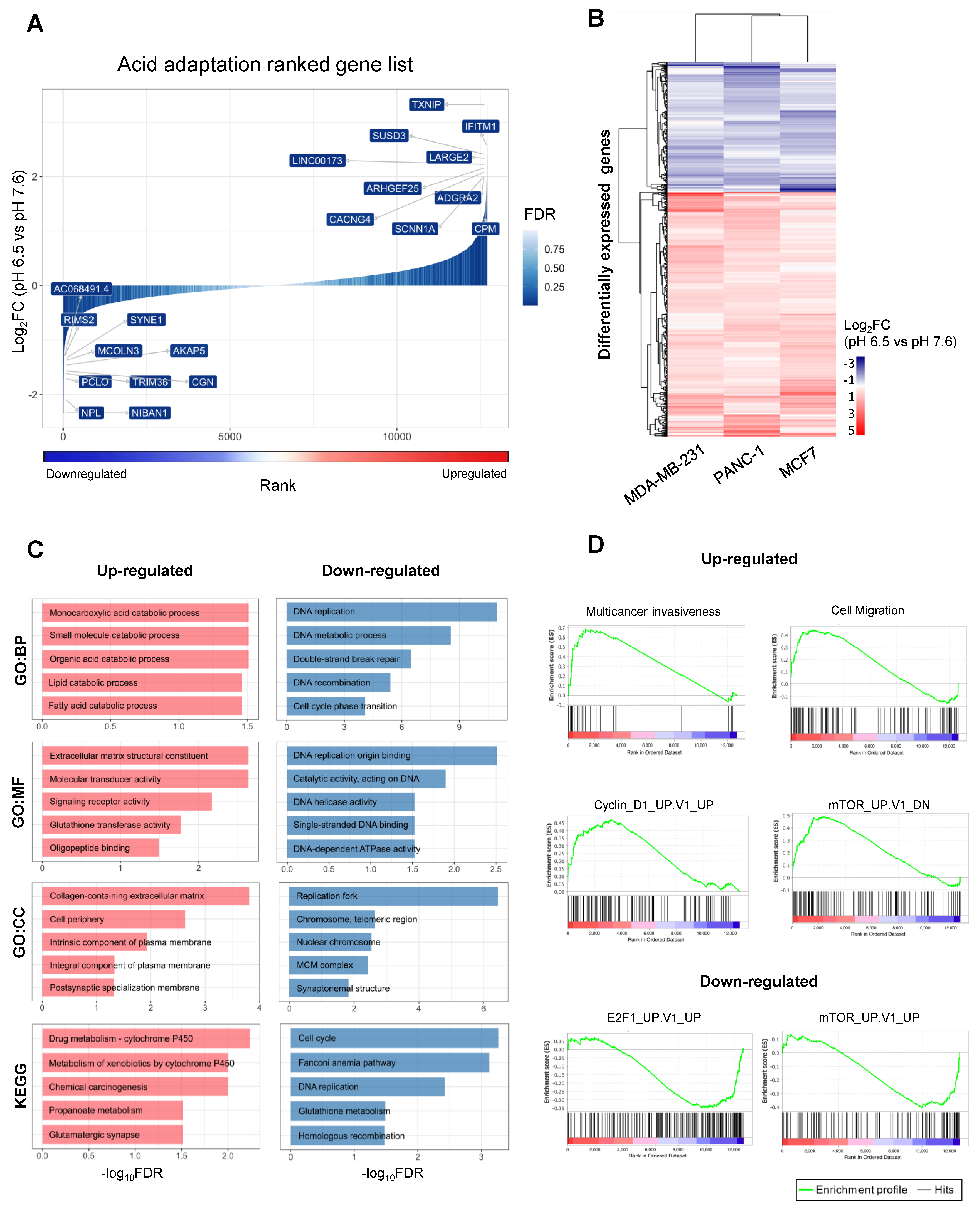 Cancers 12 02183 g002 Cancers 12 02183 g002